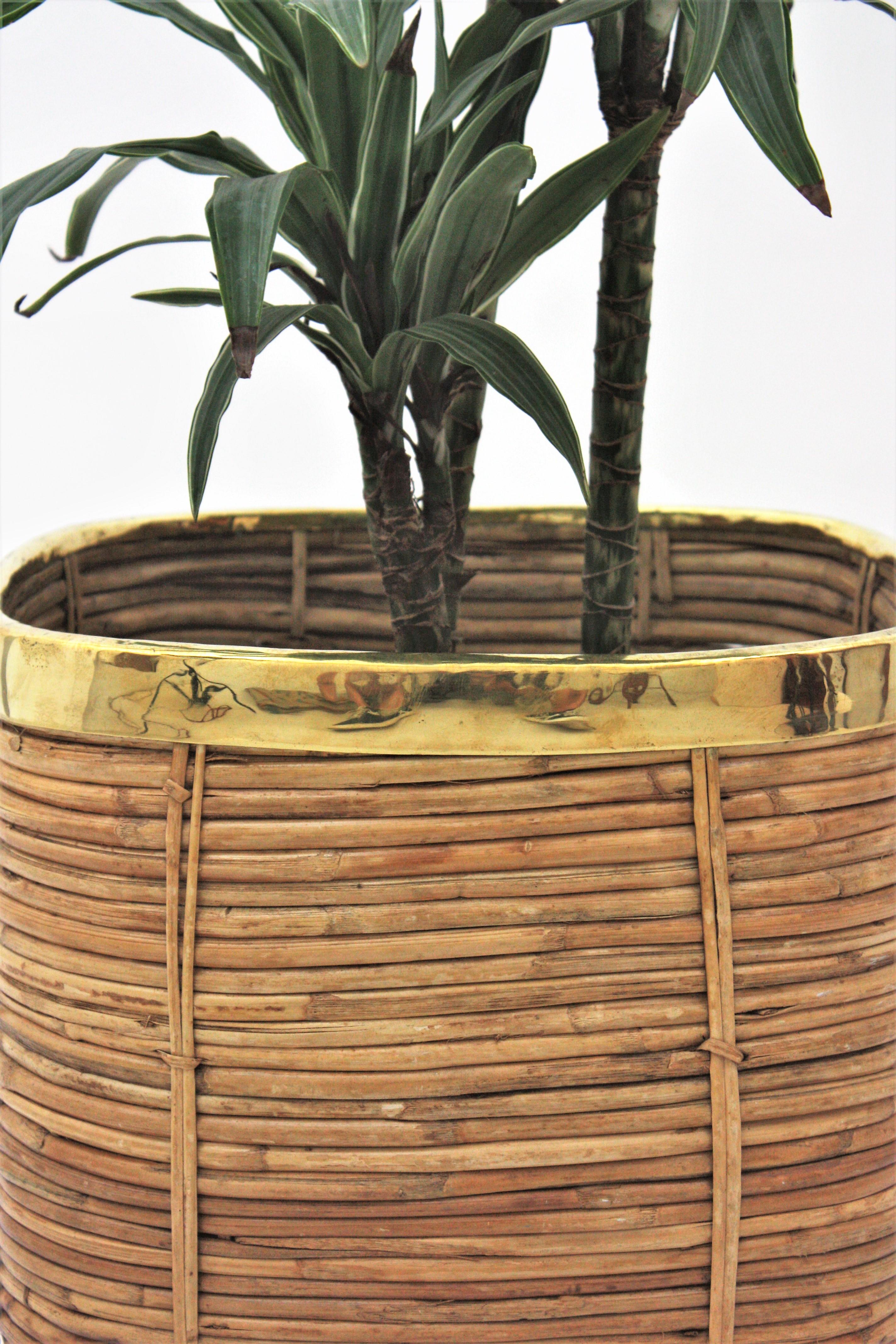 Large Italian Rattan and Brass Crespi Style Square Basket Planter, 1970s For Sale 8