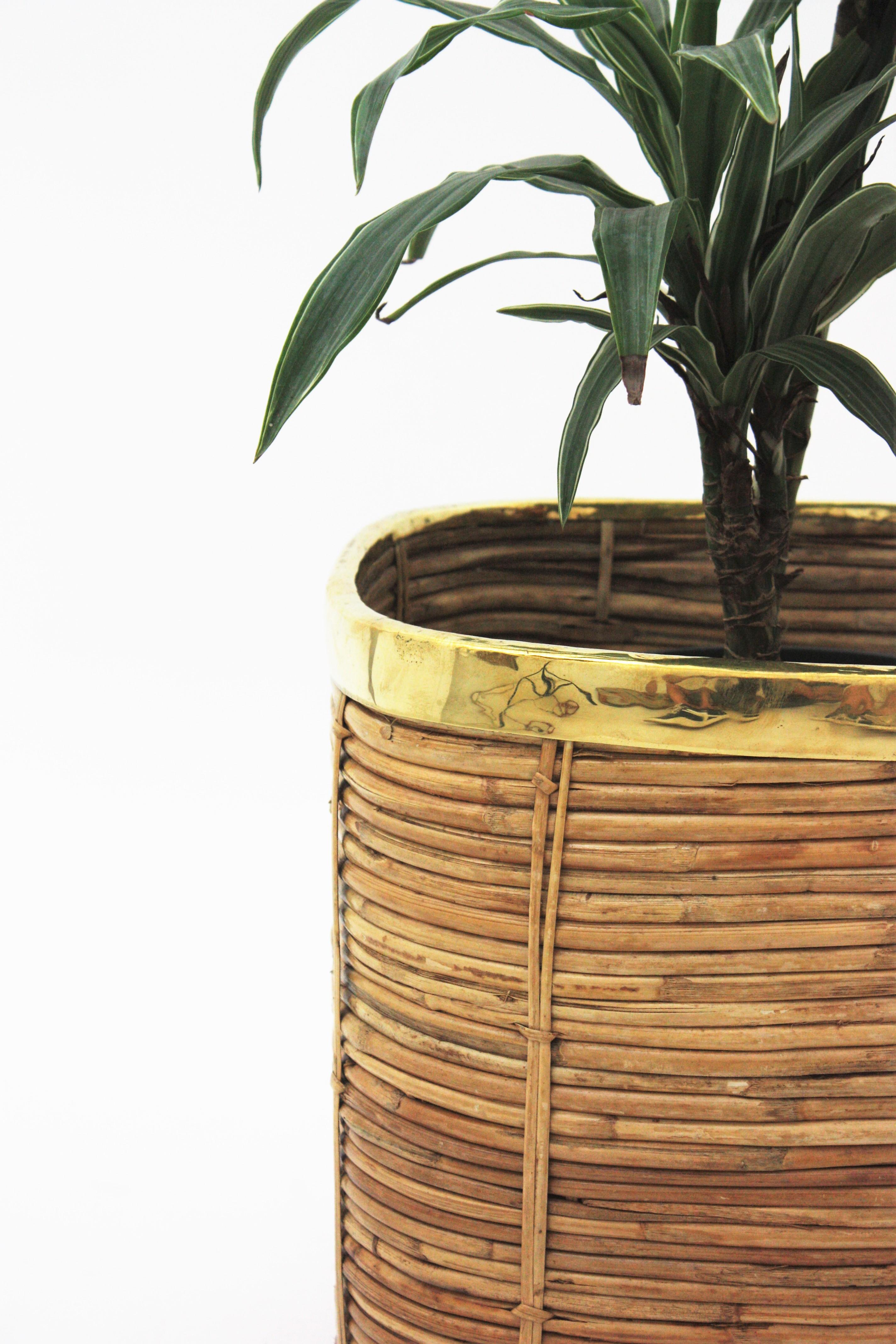 Large Italian Rattan and Brass Crespi Style Square Basket Planter, 1970s For Sale 9