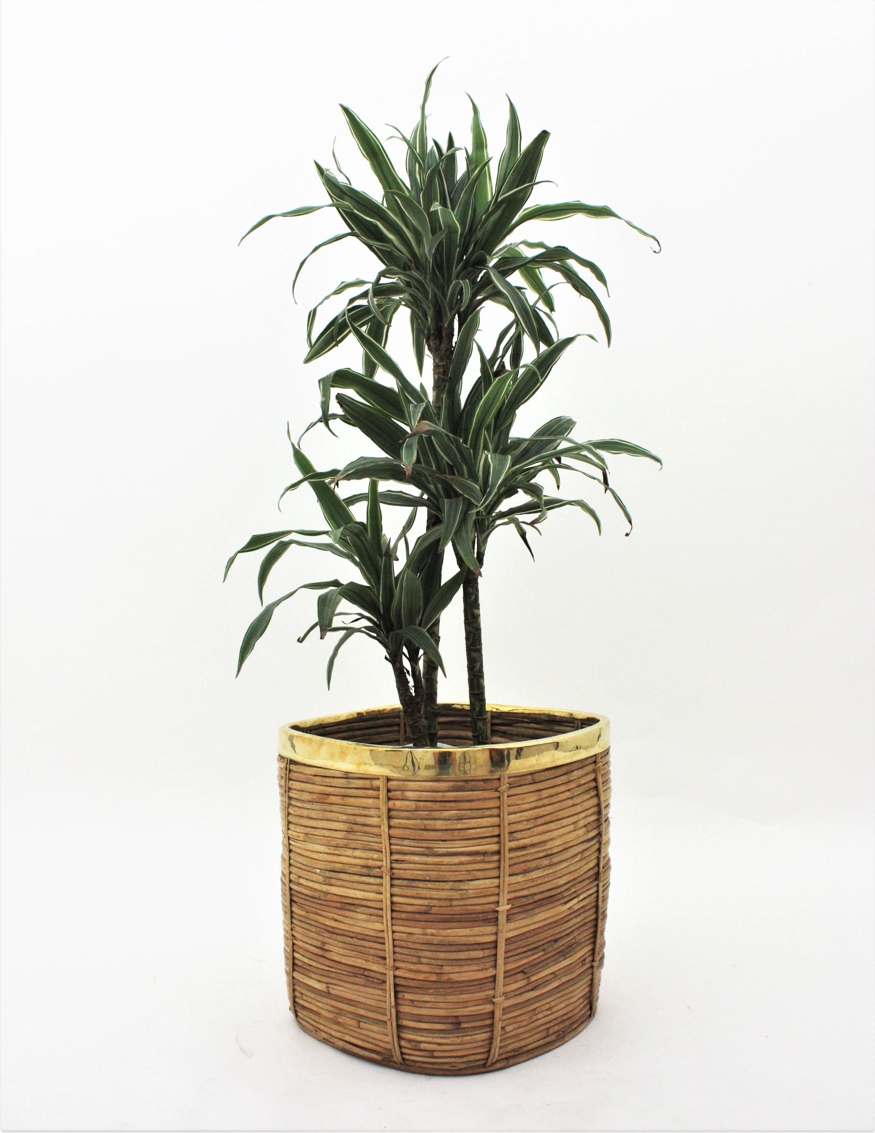 Large Italian Rattan and Brass Crespi Style Square Basket Planter, 1970s For Sale 4