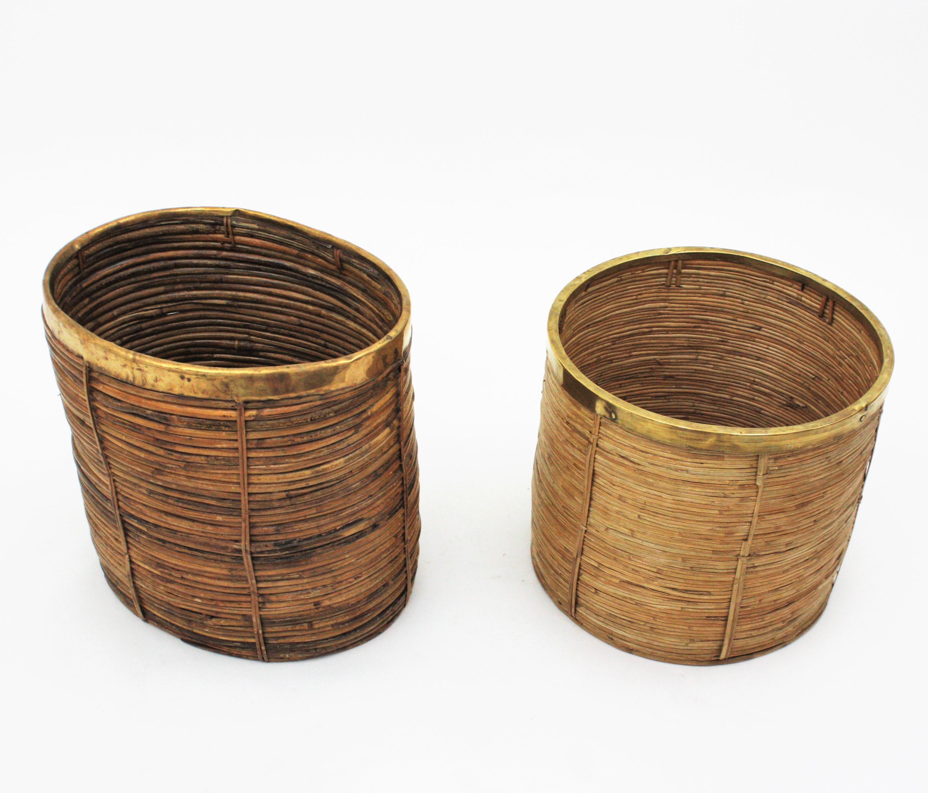 Large Rattan Bamboo Midcentury Oval Planter with Brass Rim, 1960s 6