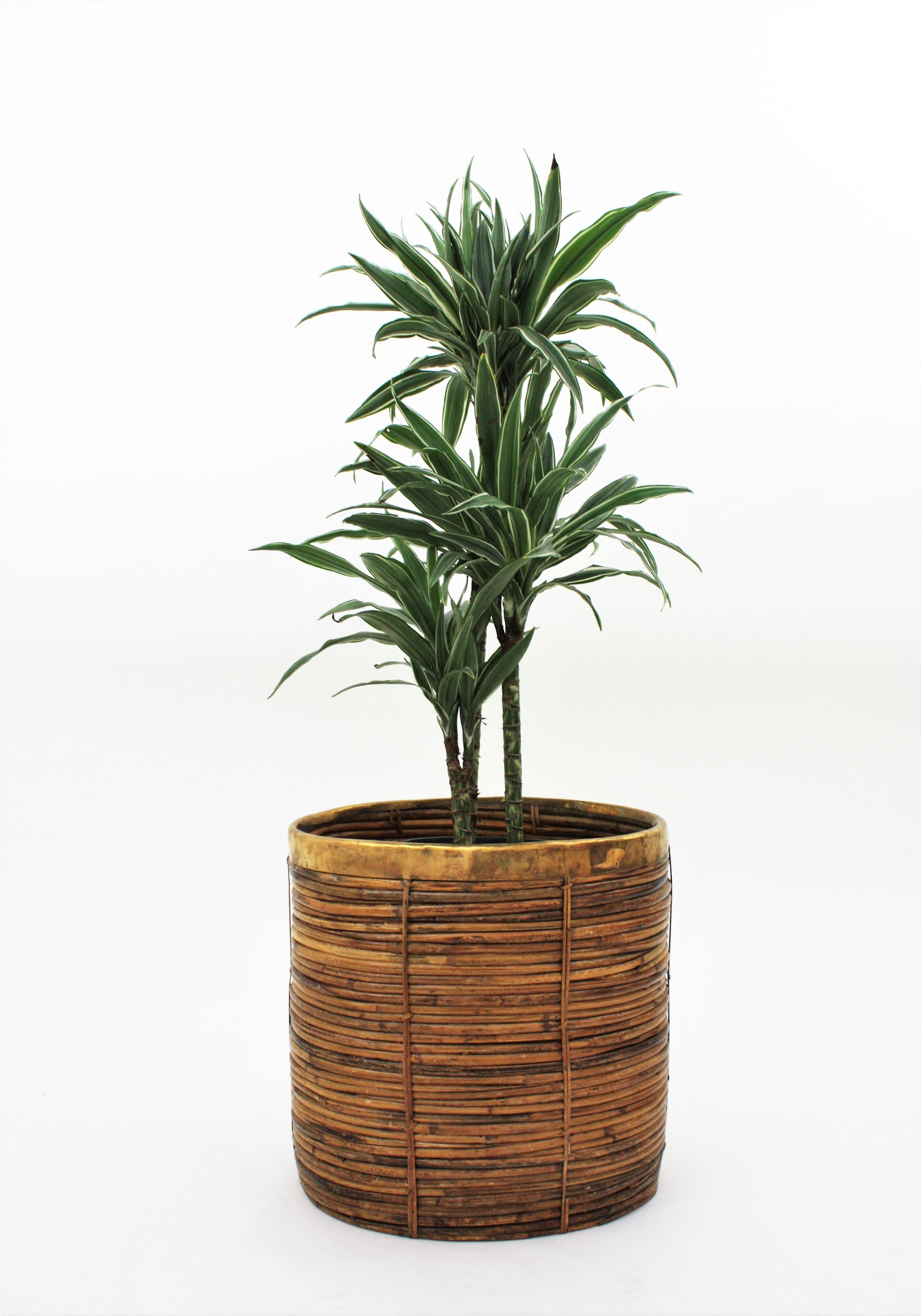 tall rattan planter