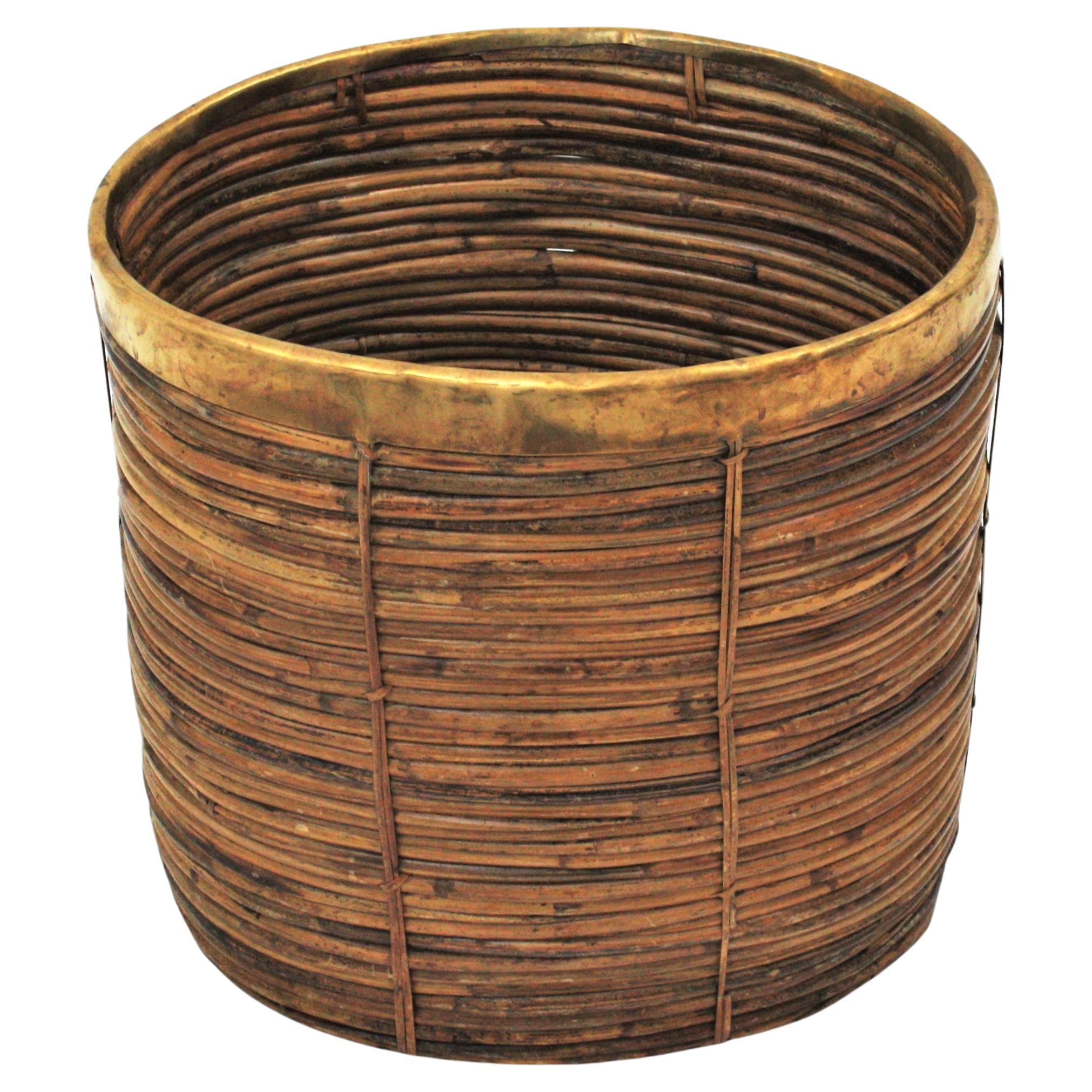 Mid-Century Modern Large Rattan Bamboo Midcentury Oval Planter with Brass Rim, 1960s