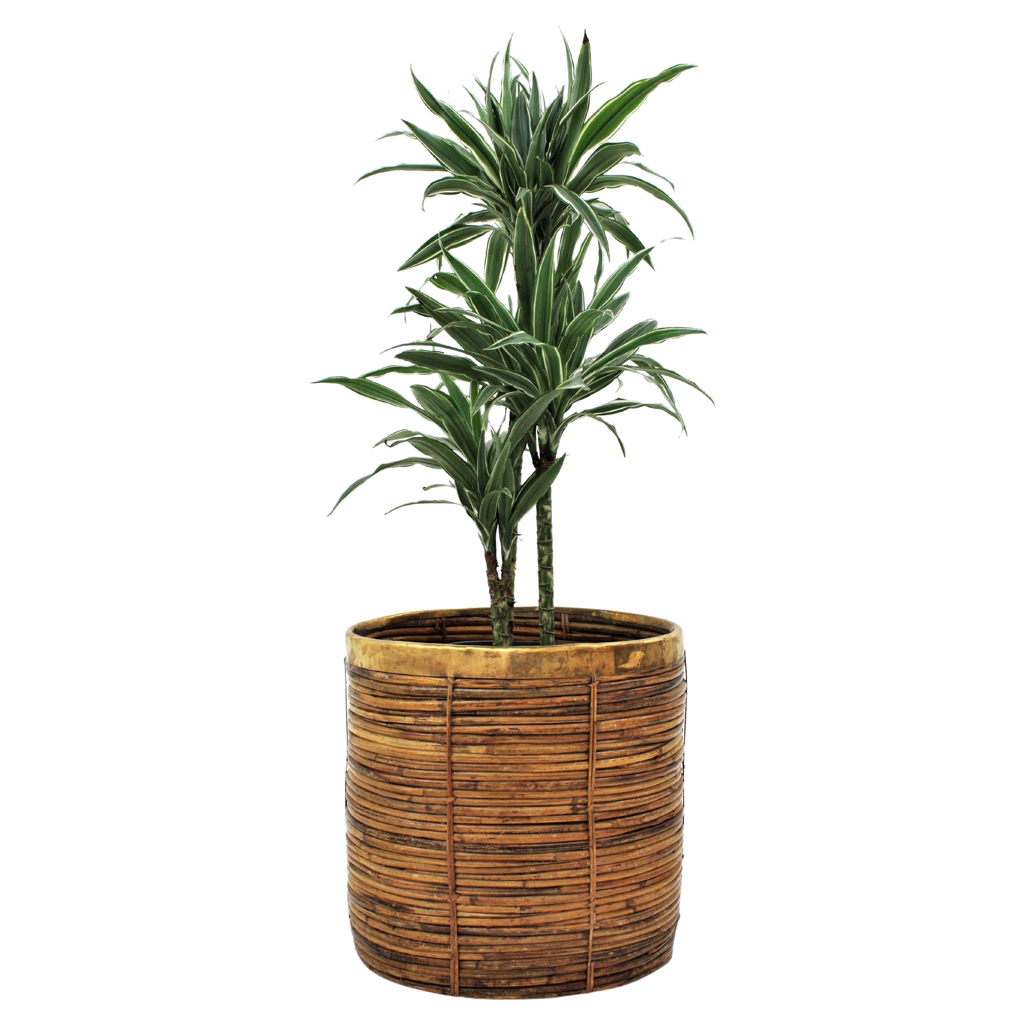 Large Rattan Bamboo Midcentury Oval Planter with Brass Rim, 1960s