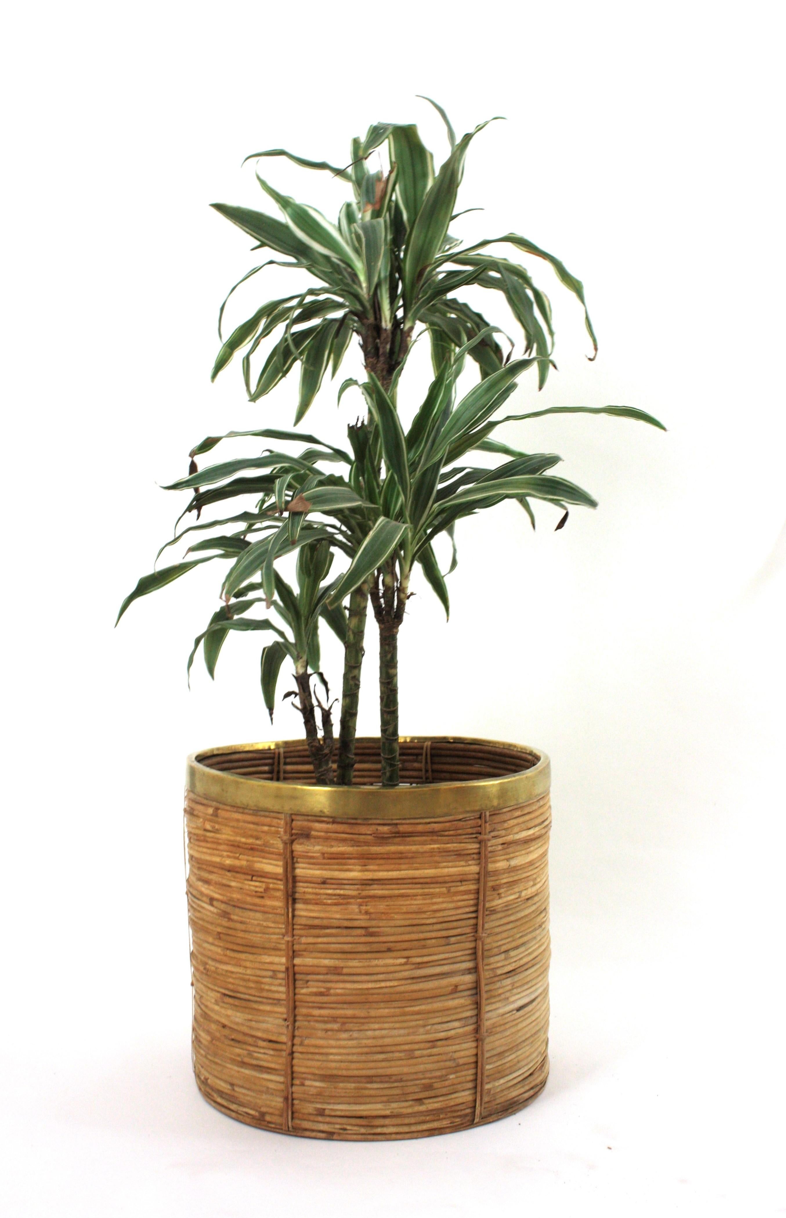 Italiano Large Rattan Bamboo Round Planter / Basket with Brass Rim, Italy 1970 in vendita