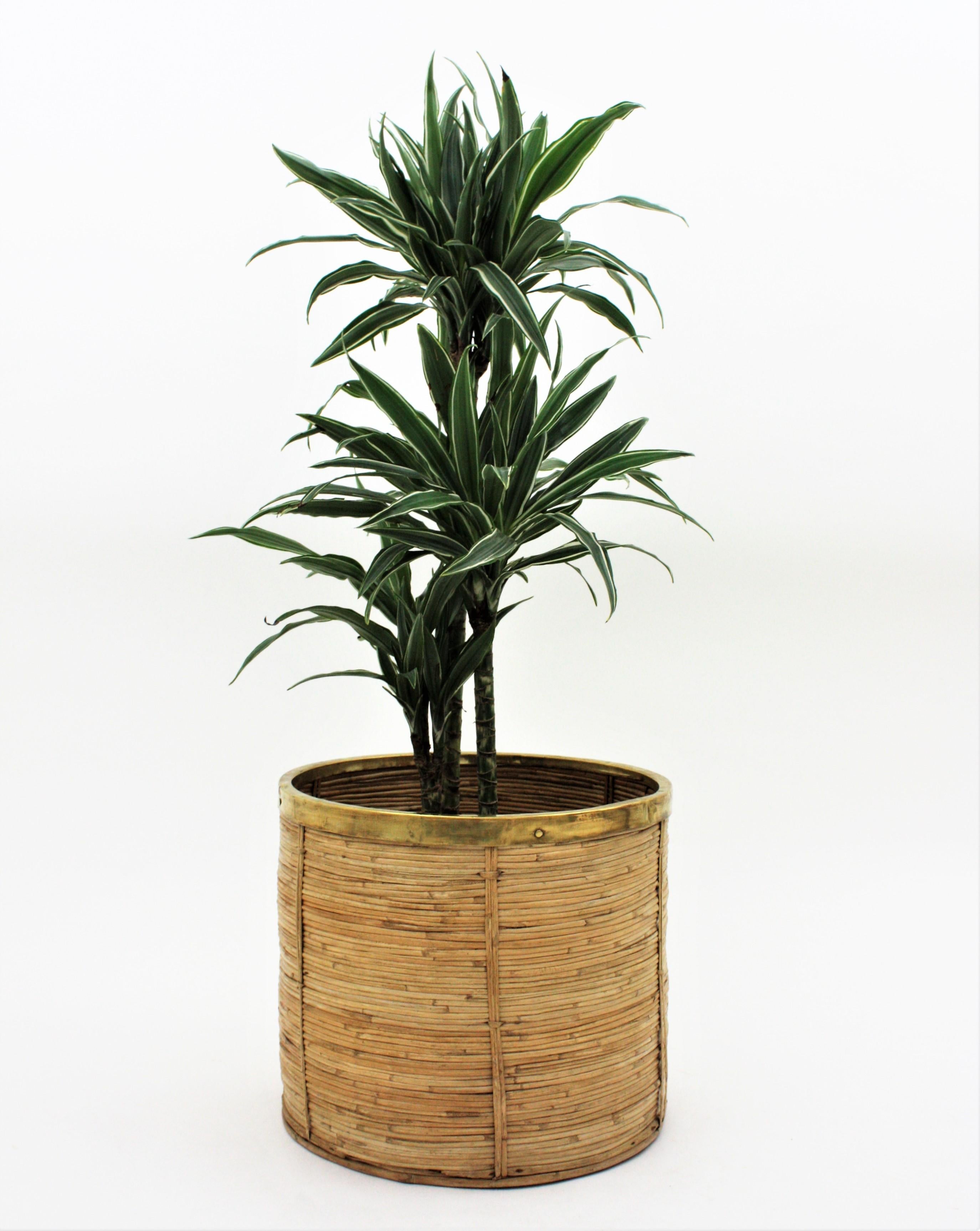 Large Rattan Bamboo Round Planter with Brass Rim, Italy, 1970s For Sale 5
