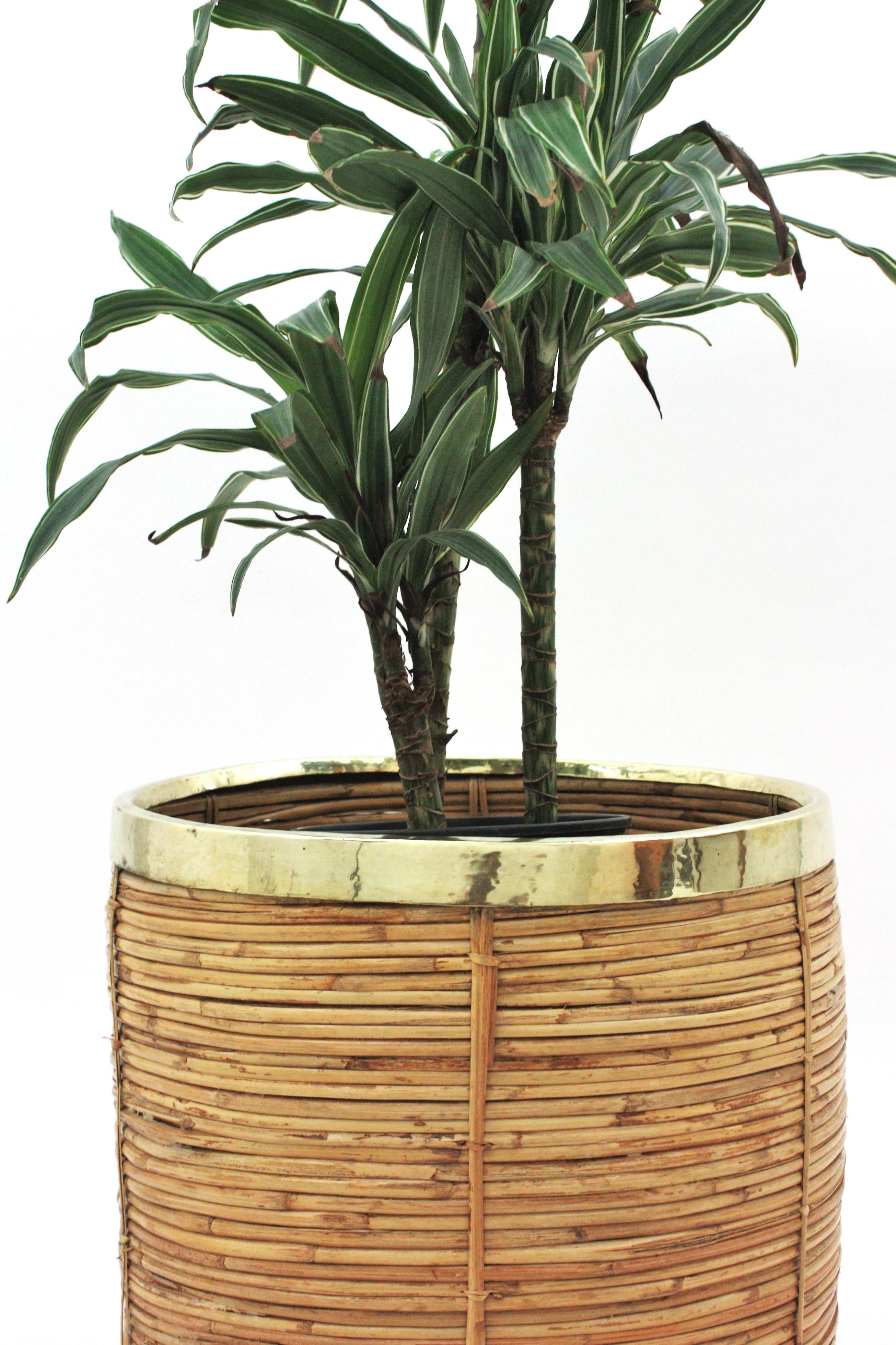 Large Rattan Bamboo Round Planter with Brass Rim, Italy, 1970s 1
