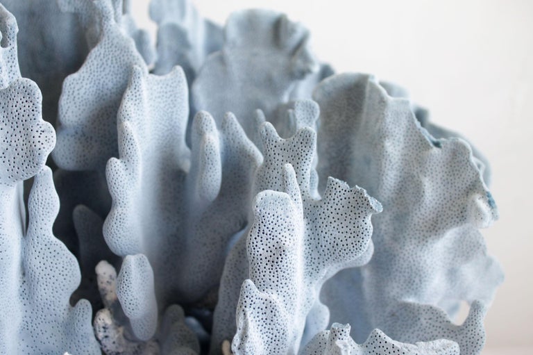 Large Real Natural Blue Coral Specimen at 1stDibs