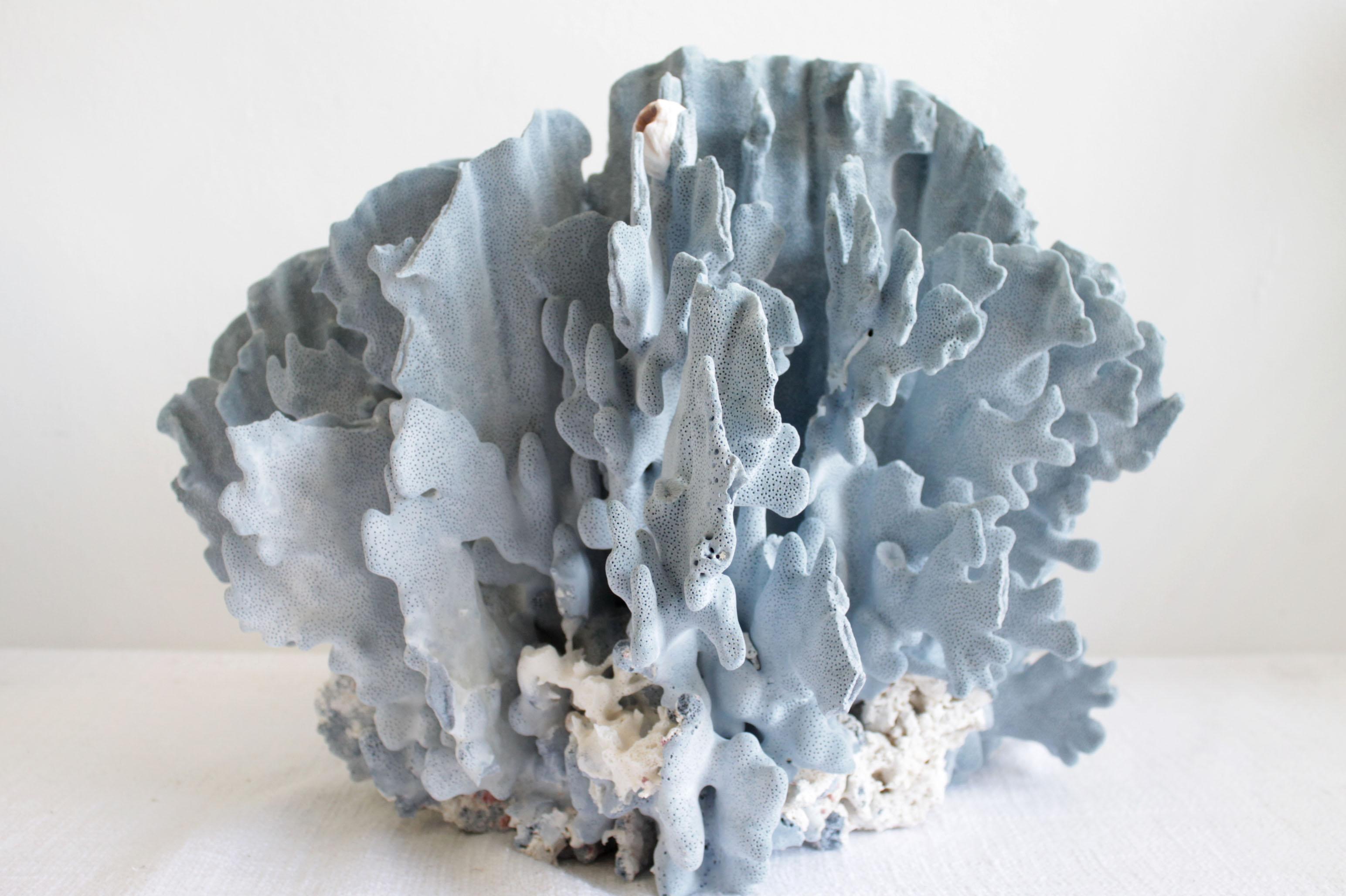 Large Real Natural Blue Coral Specimen In Good Condition In Brea, CA