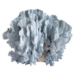 Large Real Natural Blue Coral Specimen