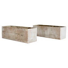 Large Rectangular Willy Guhl Planters