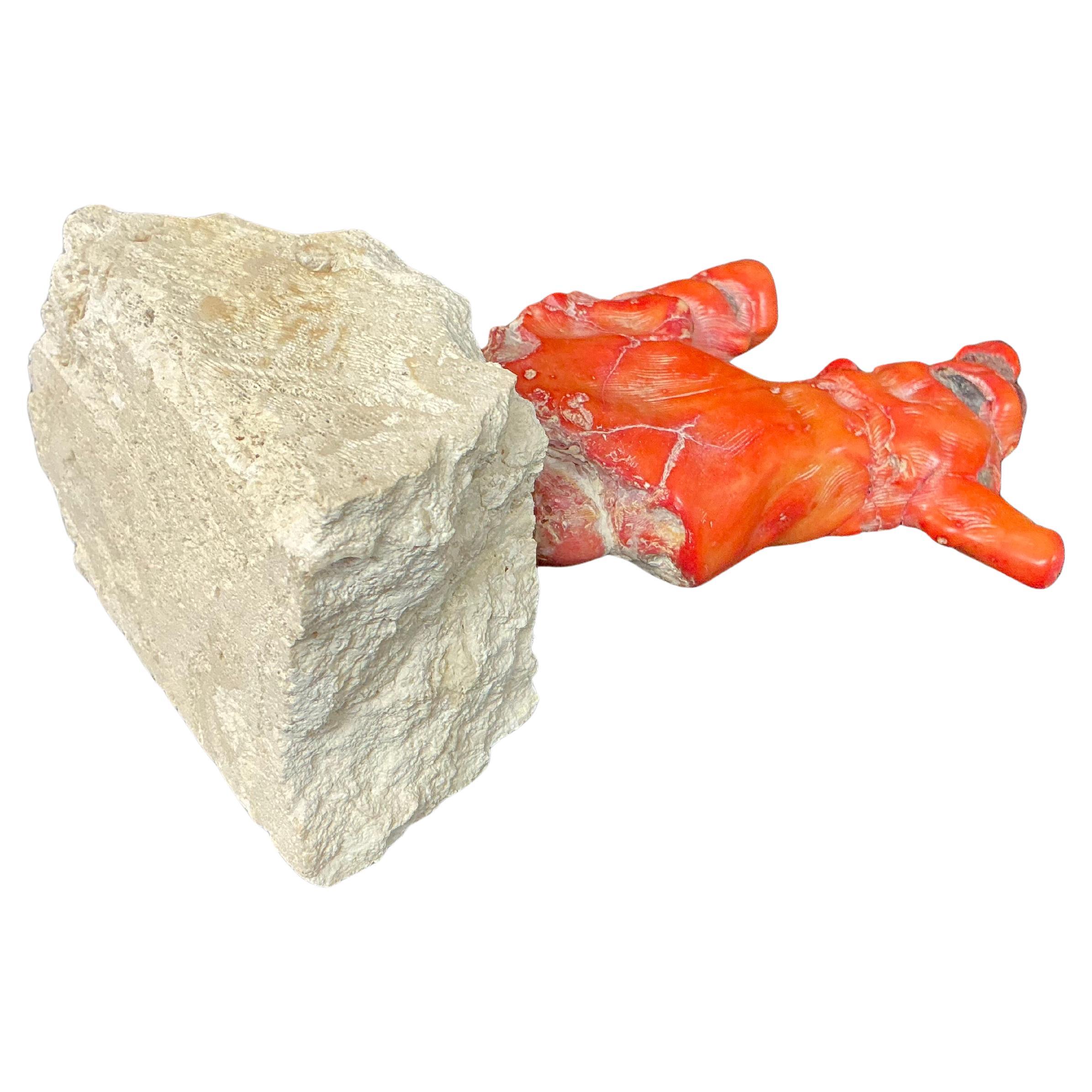 Grande Branch di corallo rosso su supporto In condizioni buone in vendita a Bradenton, FL