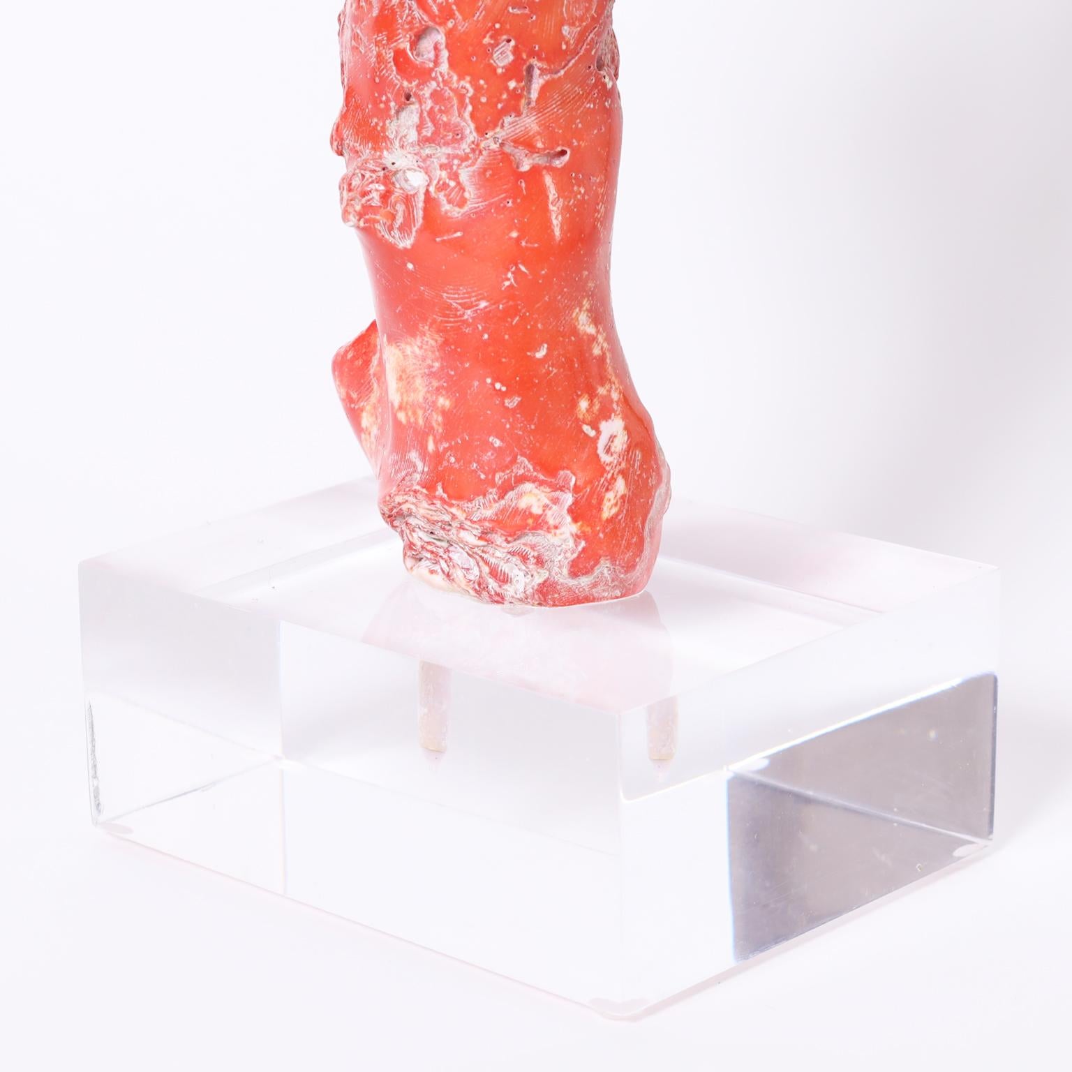 20th Century Large Red Coral on Lucite For Sale