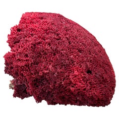 Large Red Coral Specimen #5