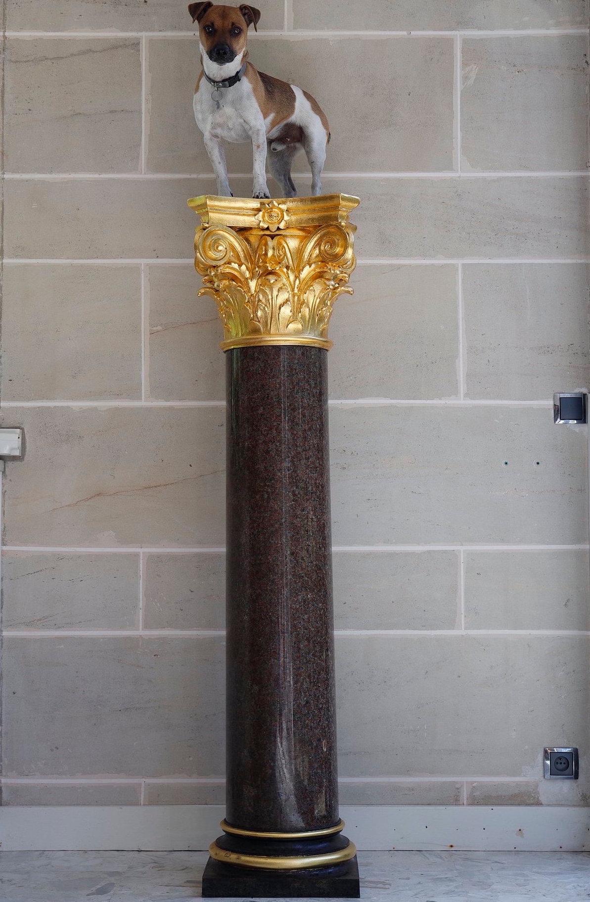 French Large Red Granite and Gilt Bronze Column in Neoclassical style For Sale