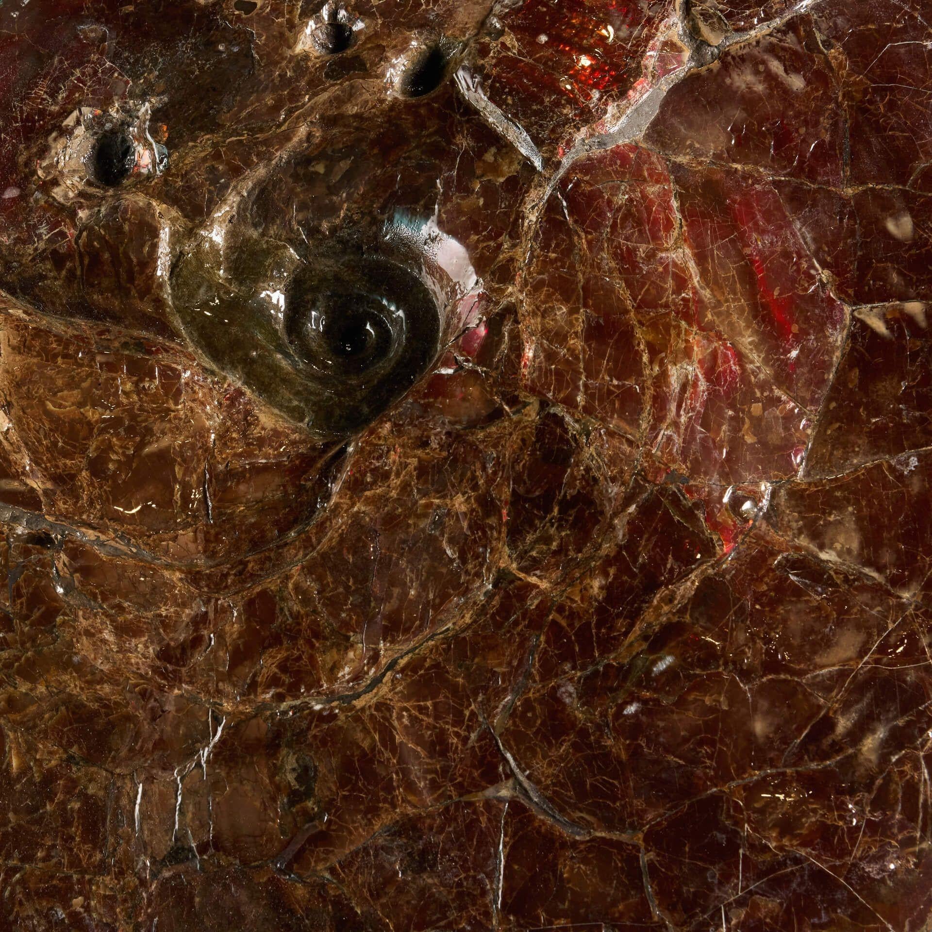 Großes rotes schillerndes Ammonit-Fossil (18. Jahrhundert und früher) im Angebot