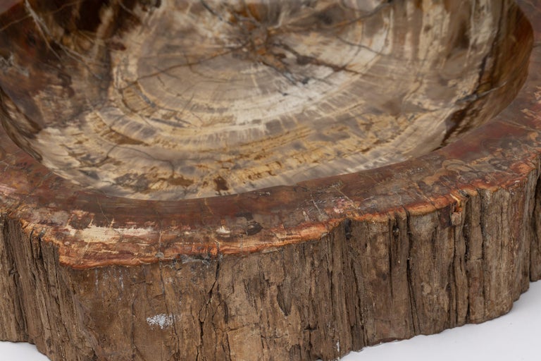 Large Red Petrified Wood Bowl in Organic Shape from Arizona For Sale at