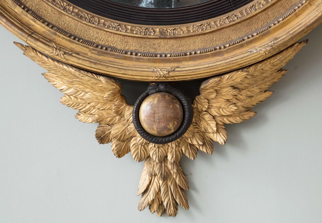 Large Regency Convex Mirror In Good Condition For Sale In London, GB