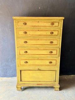 Large Regency Revival Hand Painted Chest of Drawers