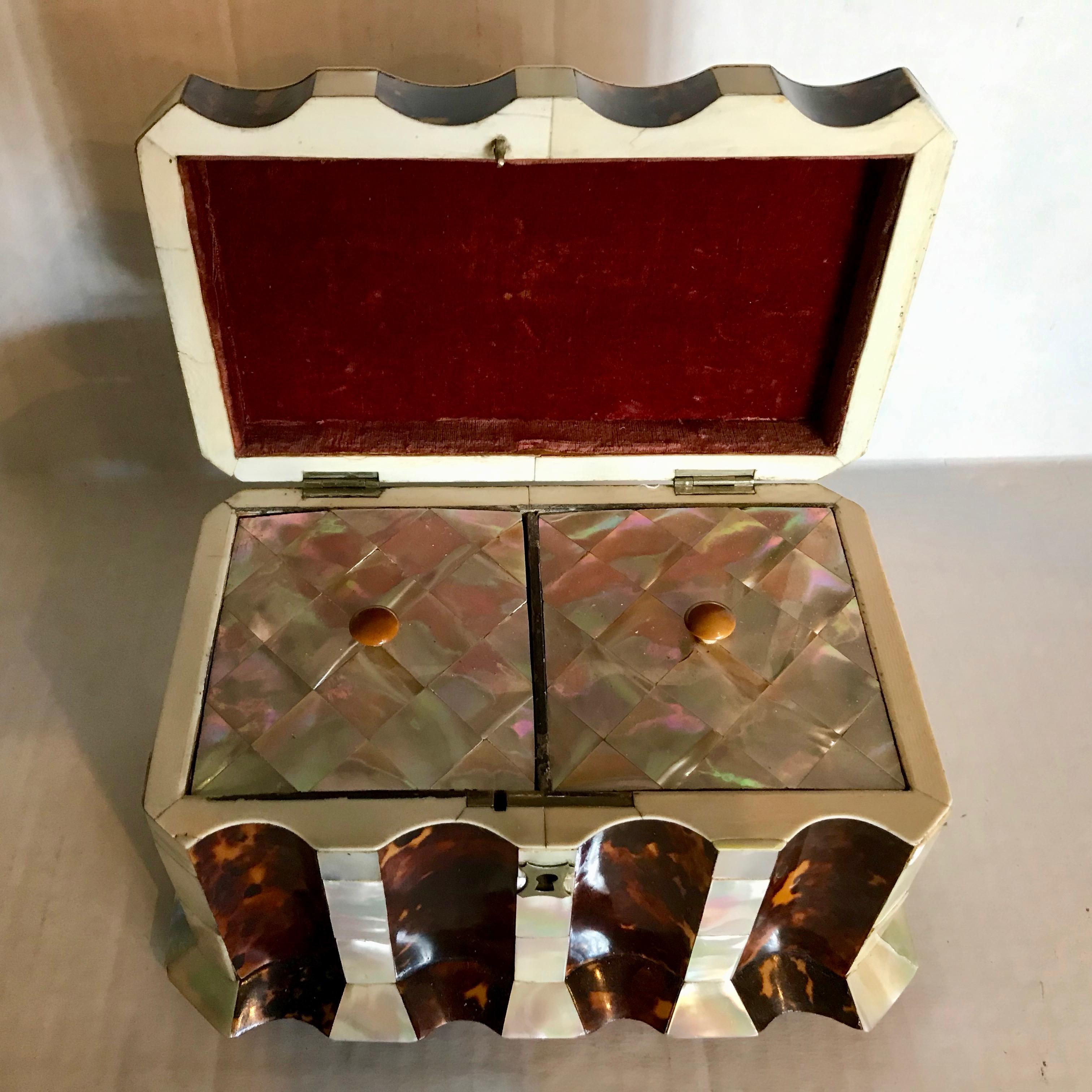 Large Regency Tea Caddy 3