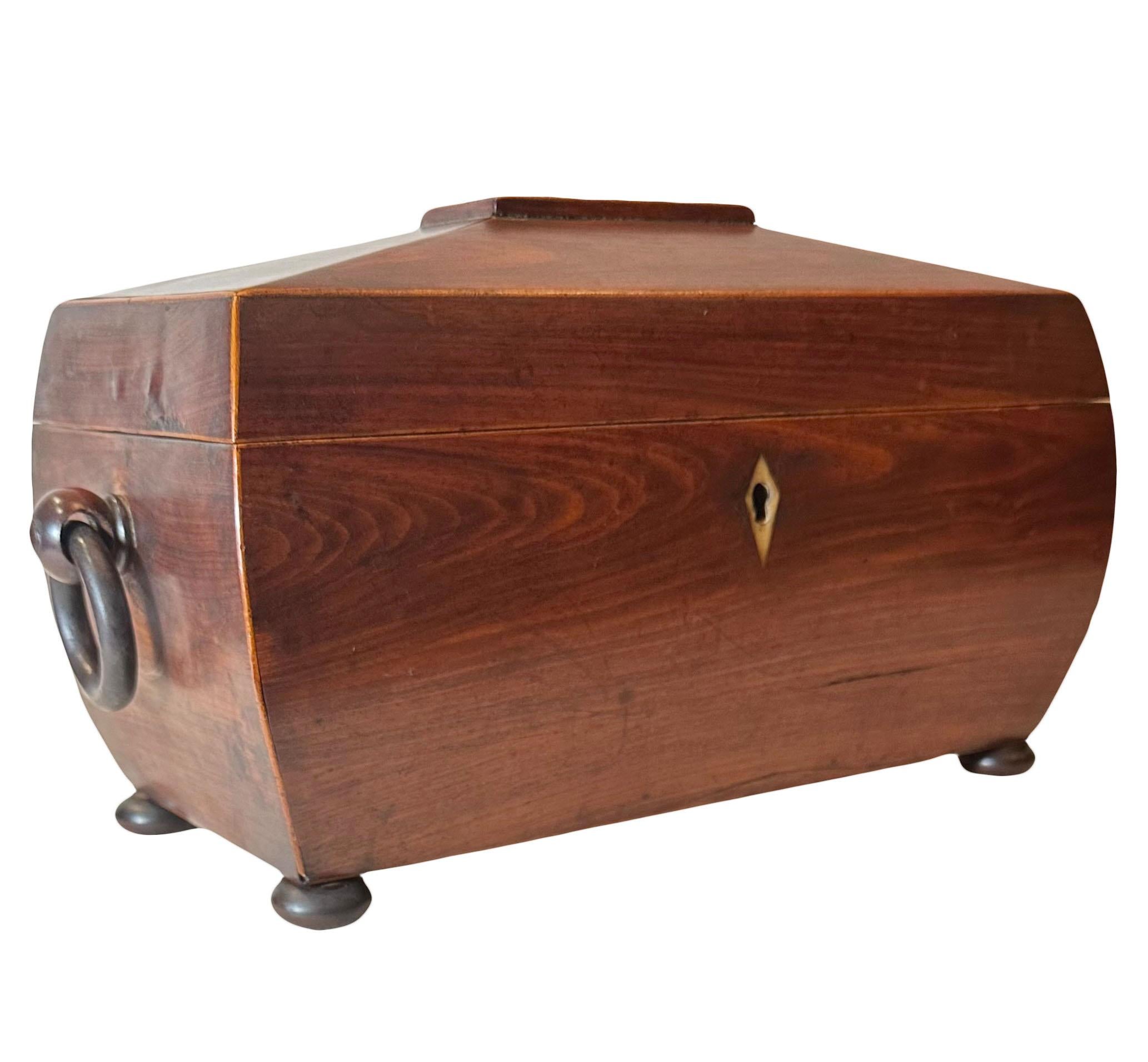 English Large Regency Tea Caddy For Sale