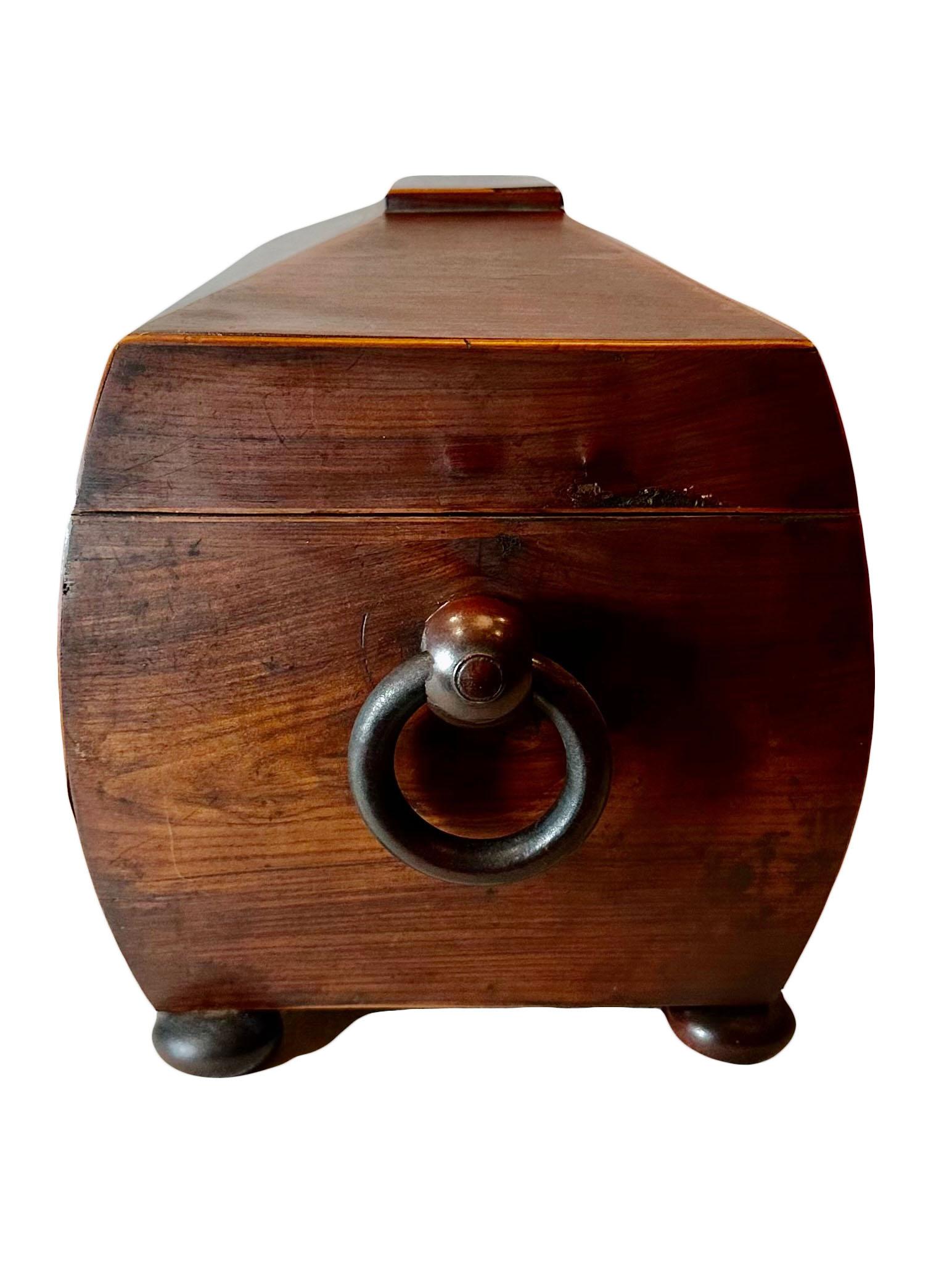 Late 19th Century Large Regency Tea Caddy For Sale