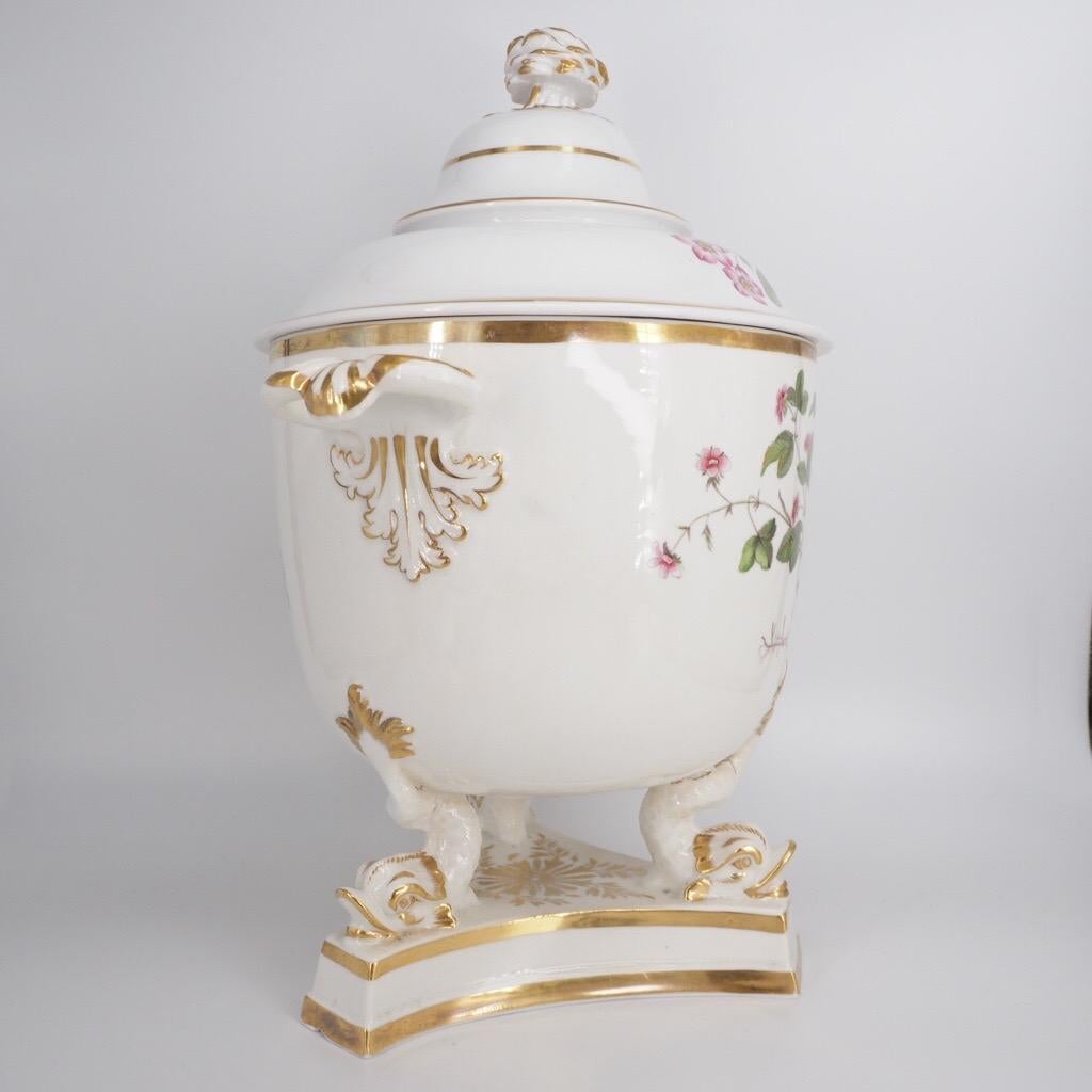 Spectacular Ridgway ice pail, supported on three dolphon feet with rose knop, printed & painted with large flower specimens, titled beneath, including: Perriwinkle, China Aster, Clammy Cranes Bill, Dwarf Bramble. 

Pattern 784, 

Circa