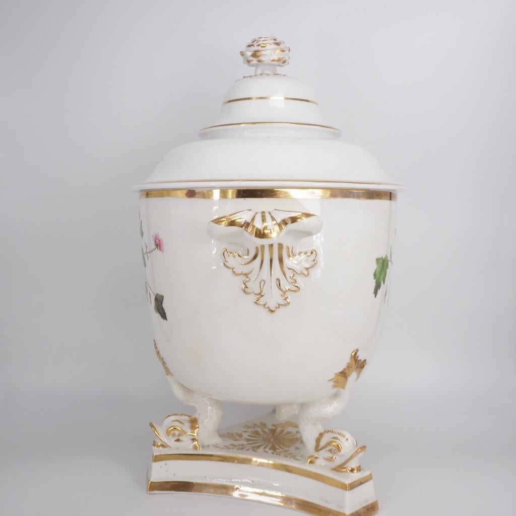 English Large Ridgway Ice Pail & Cover on Dolphin Feet, Named Flower Specimens, C.1815 For Sale
