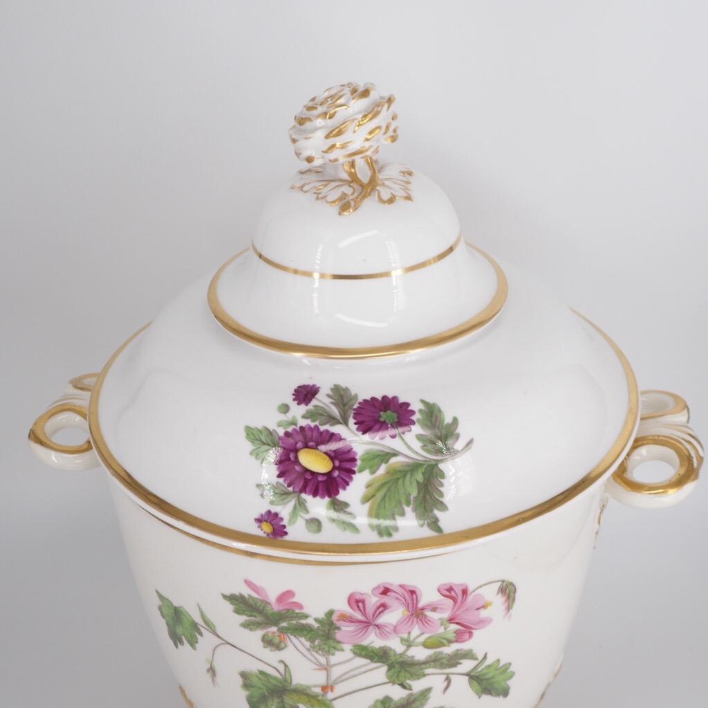 Large Ridgway Ice Pail & Cover on Dolphin Feet, Named Flower Specimens, C.1815 In Good Condition For Sale In Geelong, Victoria