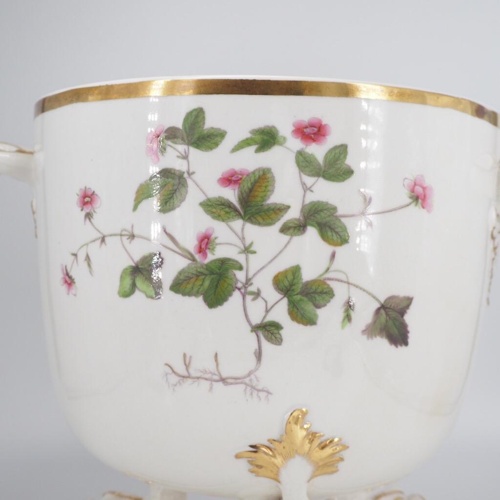 Early 19th Century Large Ridgway Ice Pail & Cover on Dolphin Feet, Named Flower Specimens, C.1815 For Sale