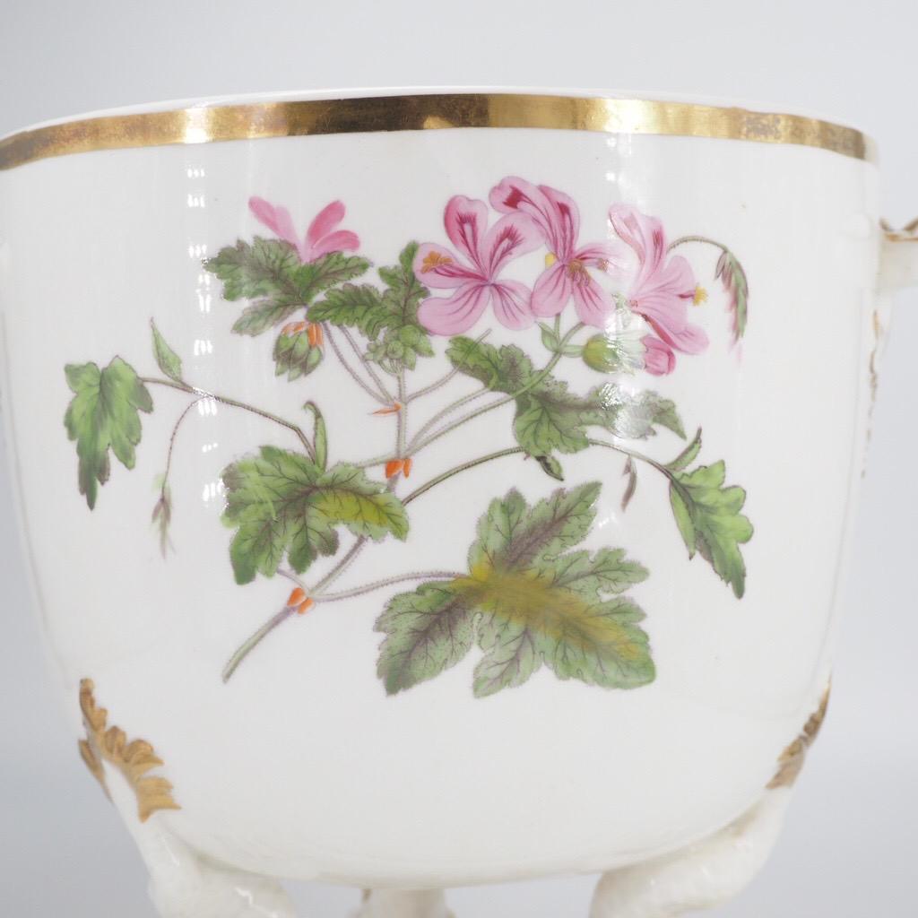 Porcelain Large Ridgway Ice Pail & Cover on Dolphin Feet, Named Flower Specimens, C.1815 For Sale