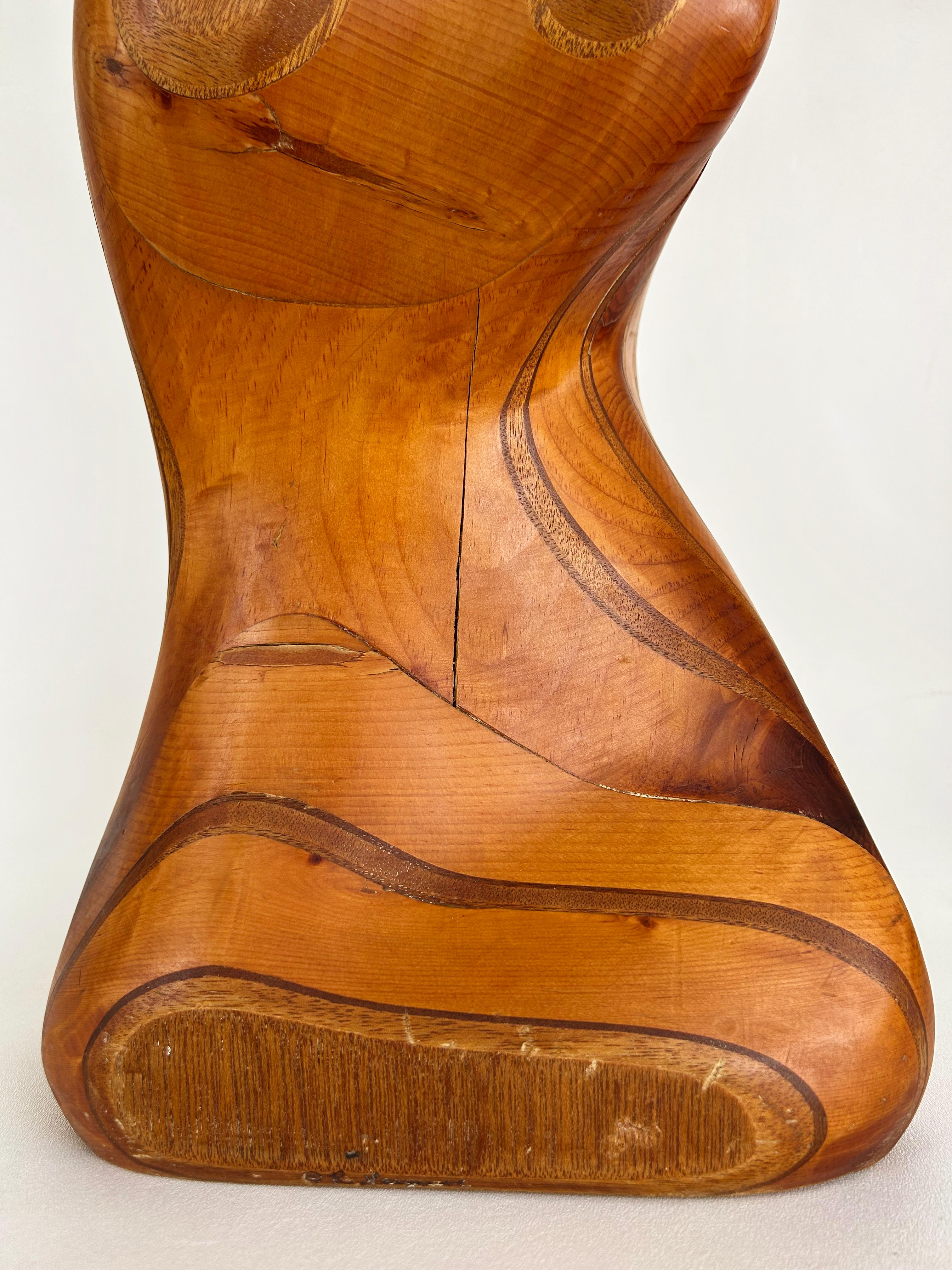 Large Robert Hardgrove  Abstract Organic Wood Sculpture For Sale 5