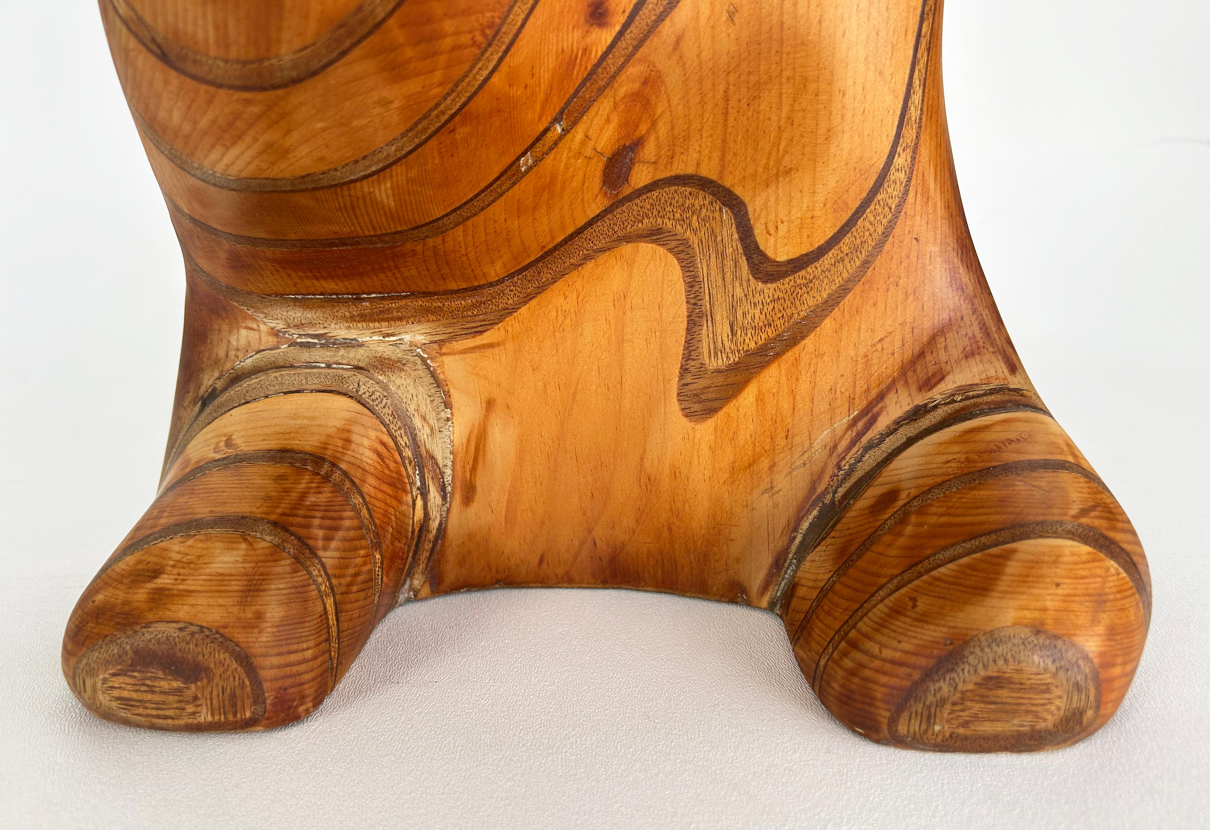 Large Robert Hardgrove  Abstract Organic Wood Sculpture For Sale 6