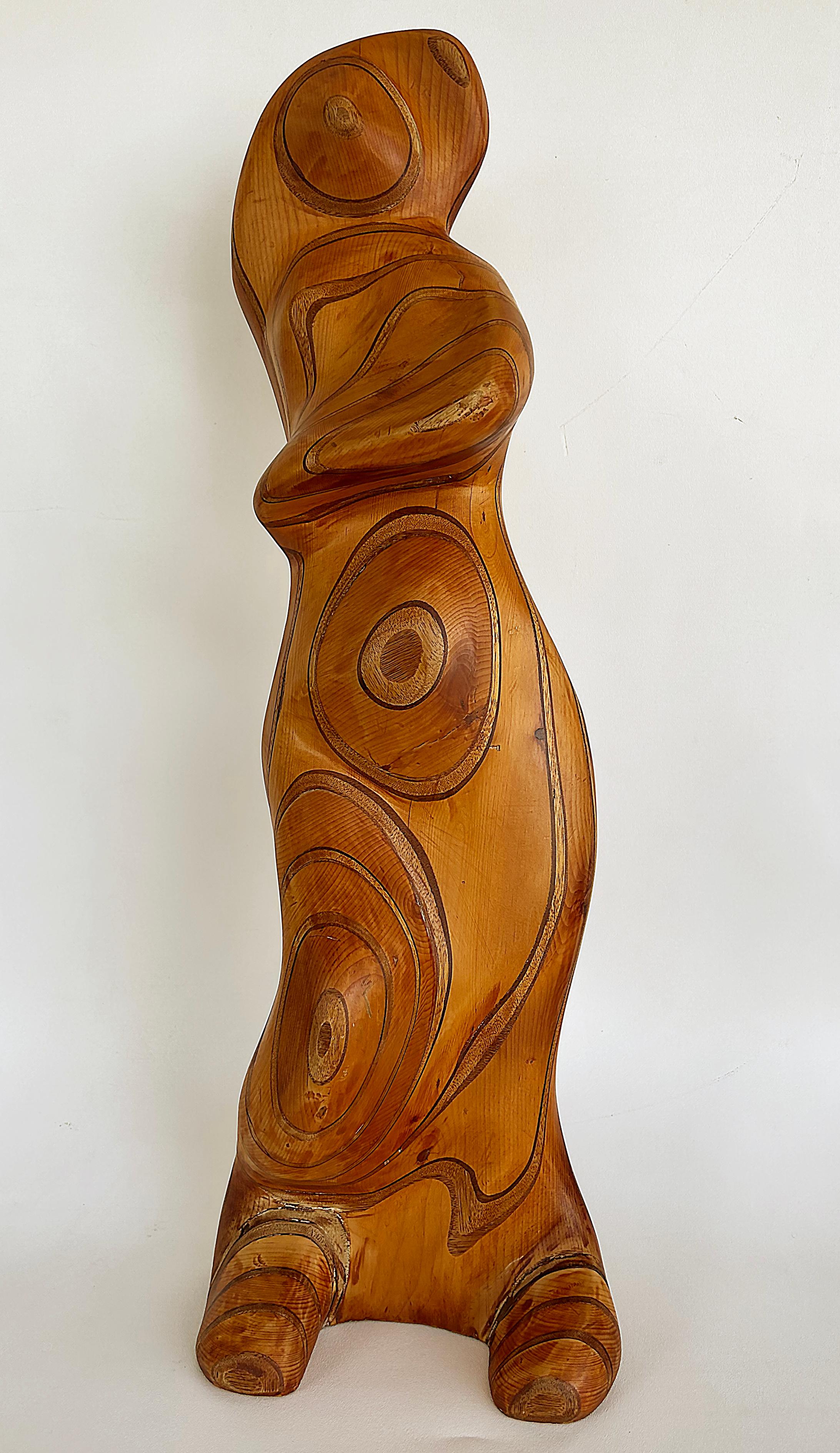 Large Robert Hardgrove  Abstract Organic Wood Sculpture For Sale 7