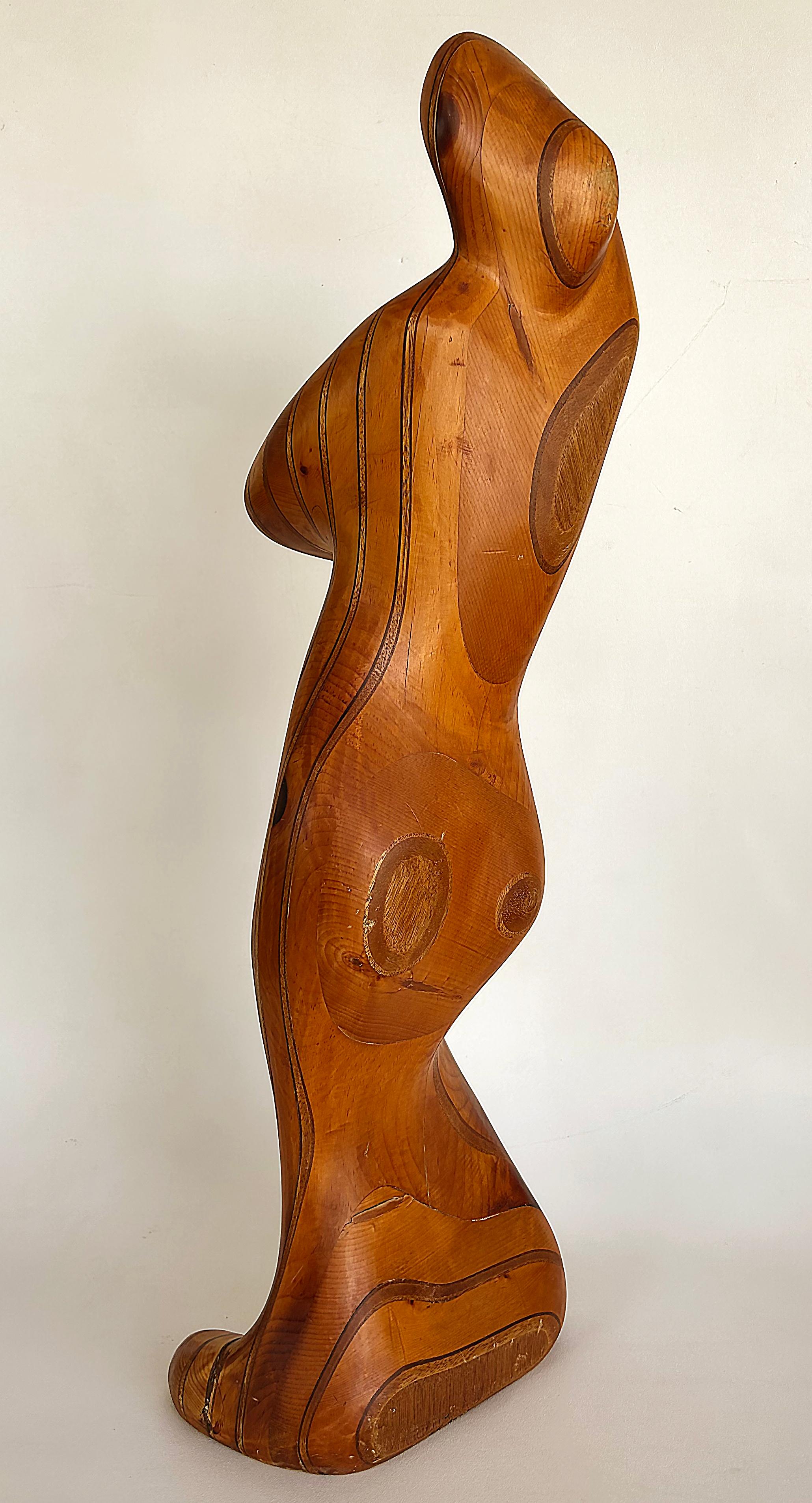 Large Robert Hardgrove  Abstract Organic Wood Sculpture For Sale 1