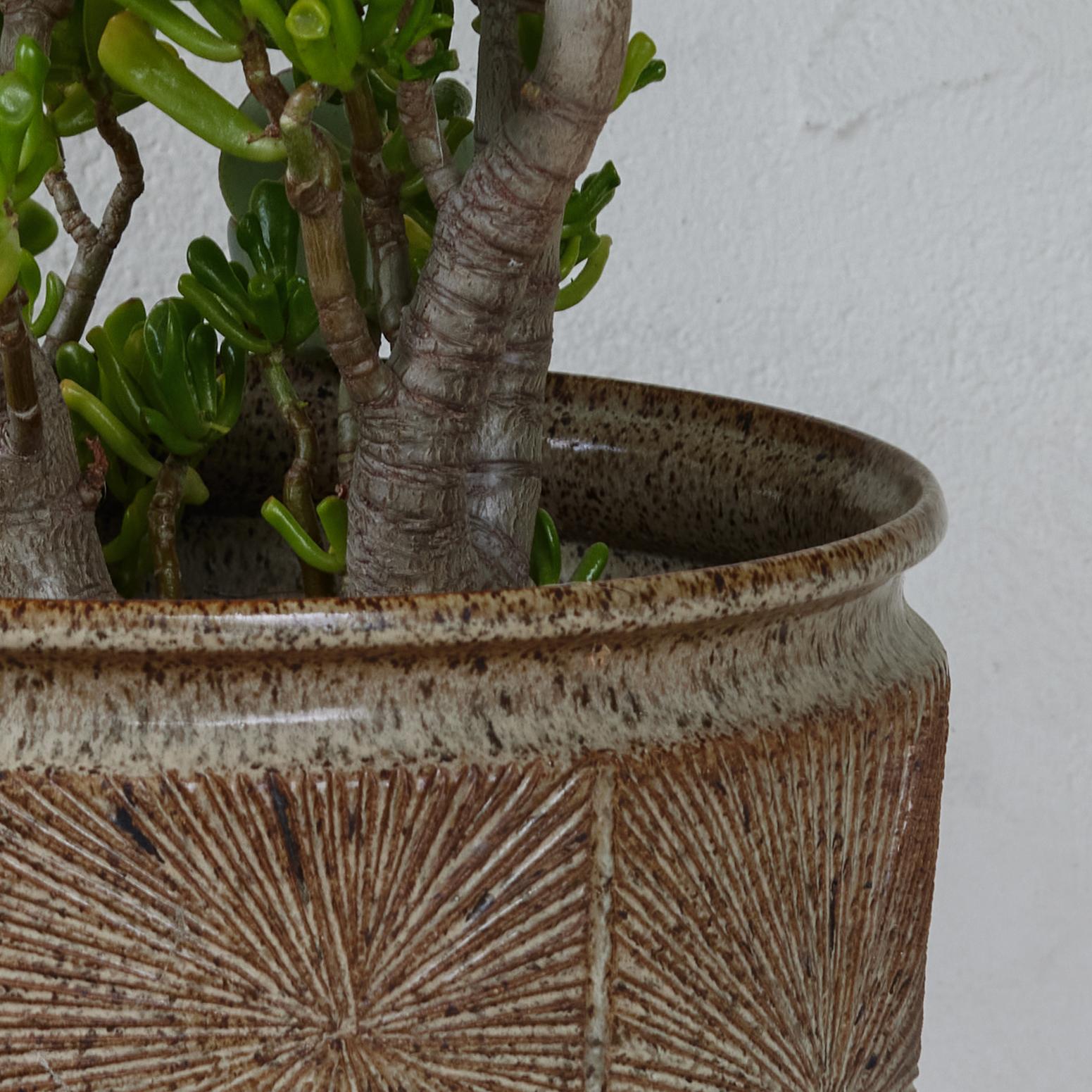 Grande jardinière Sunburst de Robert Maxwell & David Cressey pour Earthgender en vente 3