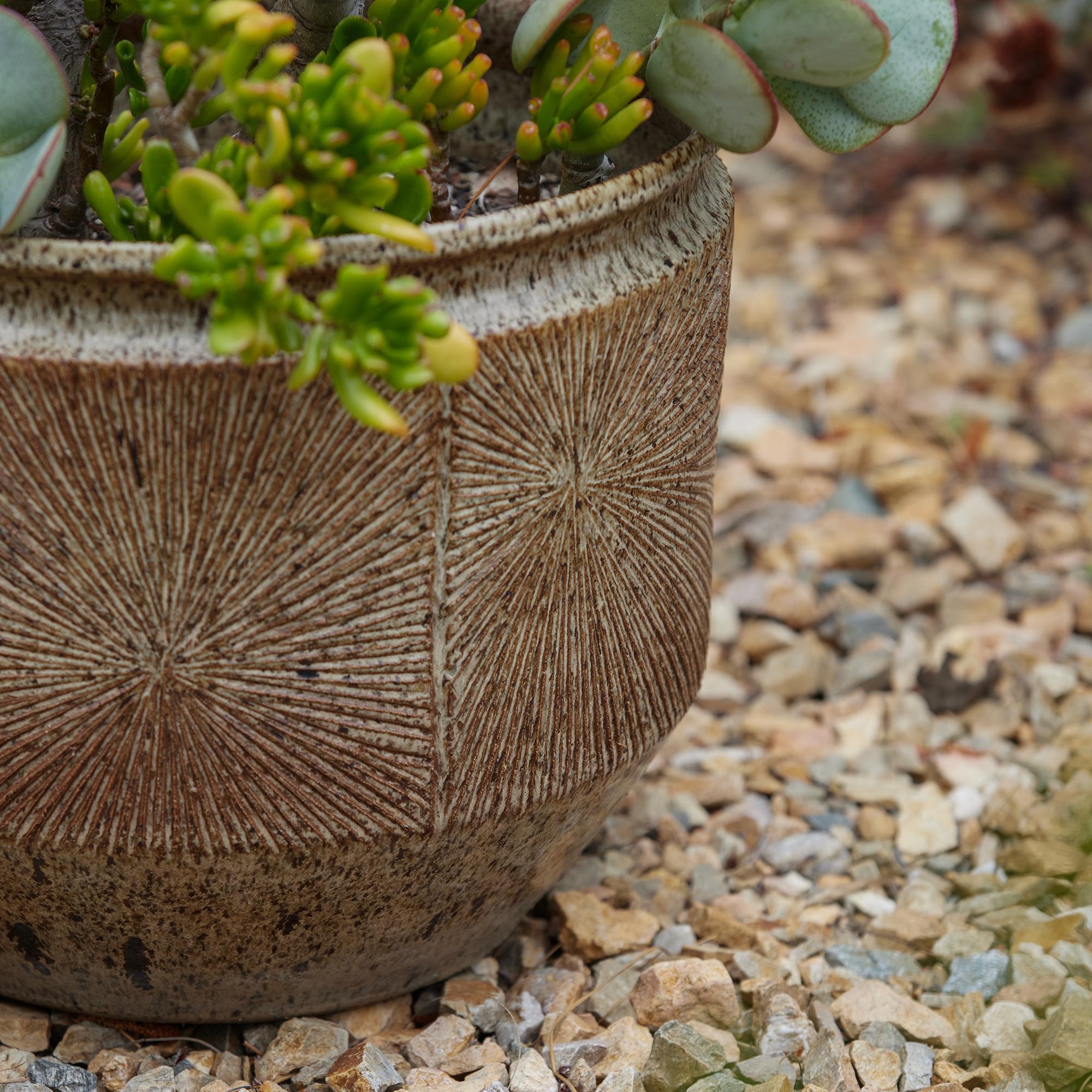 Vernissé Grande jardinière Sunburst de Robert Maxwell & David Cressey pour Earthgender en vente