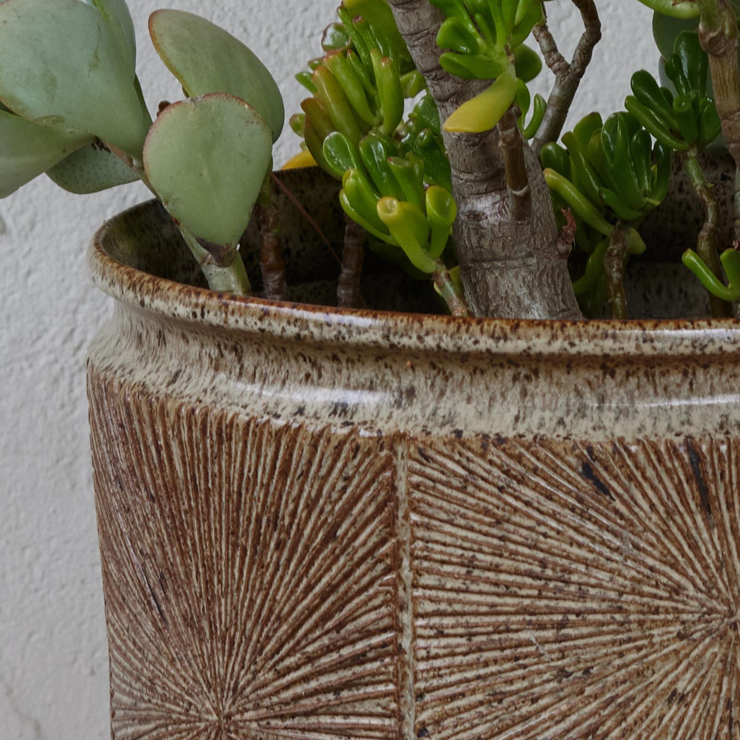 Américain Grande jardinière Sunburst de Robert Maxwell & David Cressey pour Earthgender en vente
