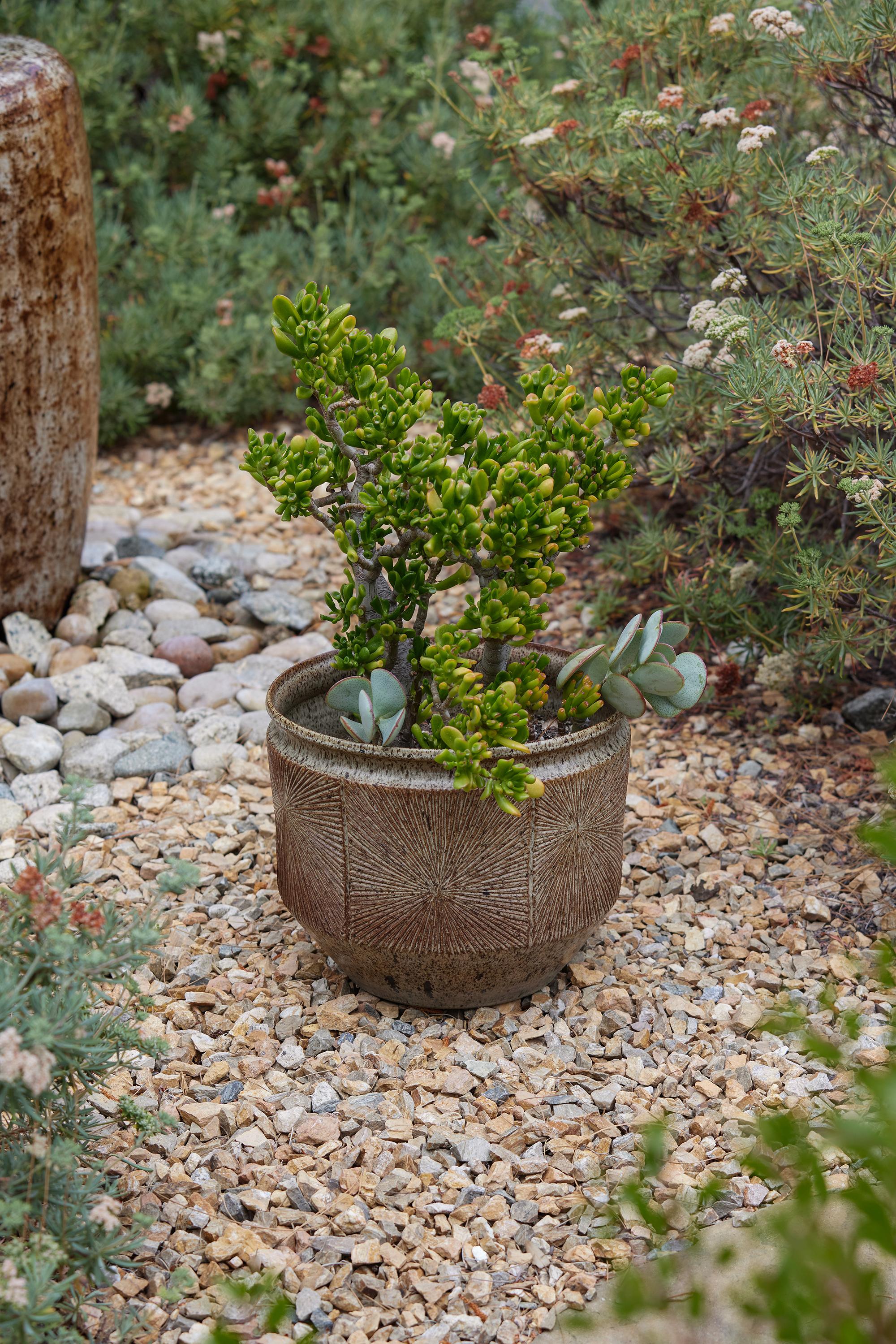 Fin du 20e siècle Grande jardinière Sunburst de Robert Maxwell & David Cressey pour Earthgender en vente