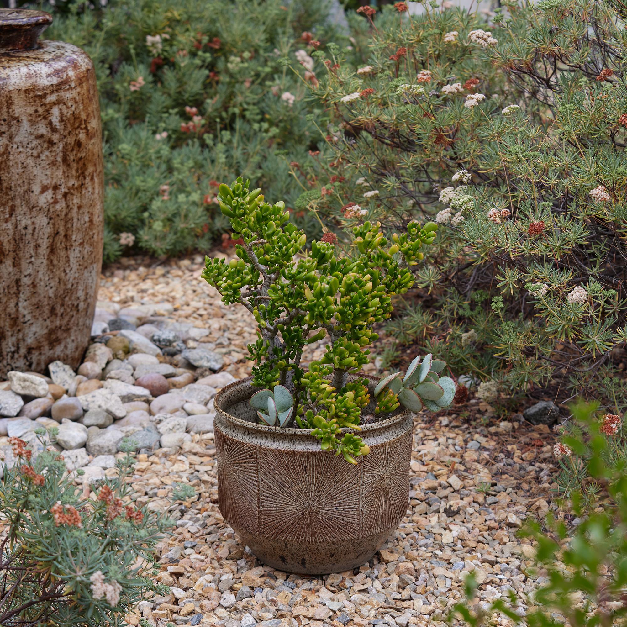 Poterie Grande jardinière Sunburst de Robert Maxwell & David Cressey pour Earthgender en vente