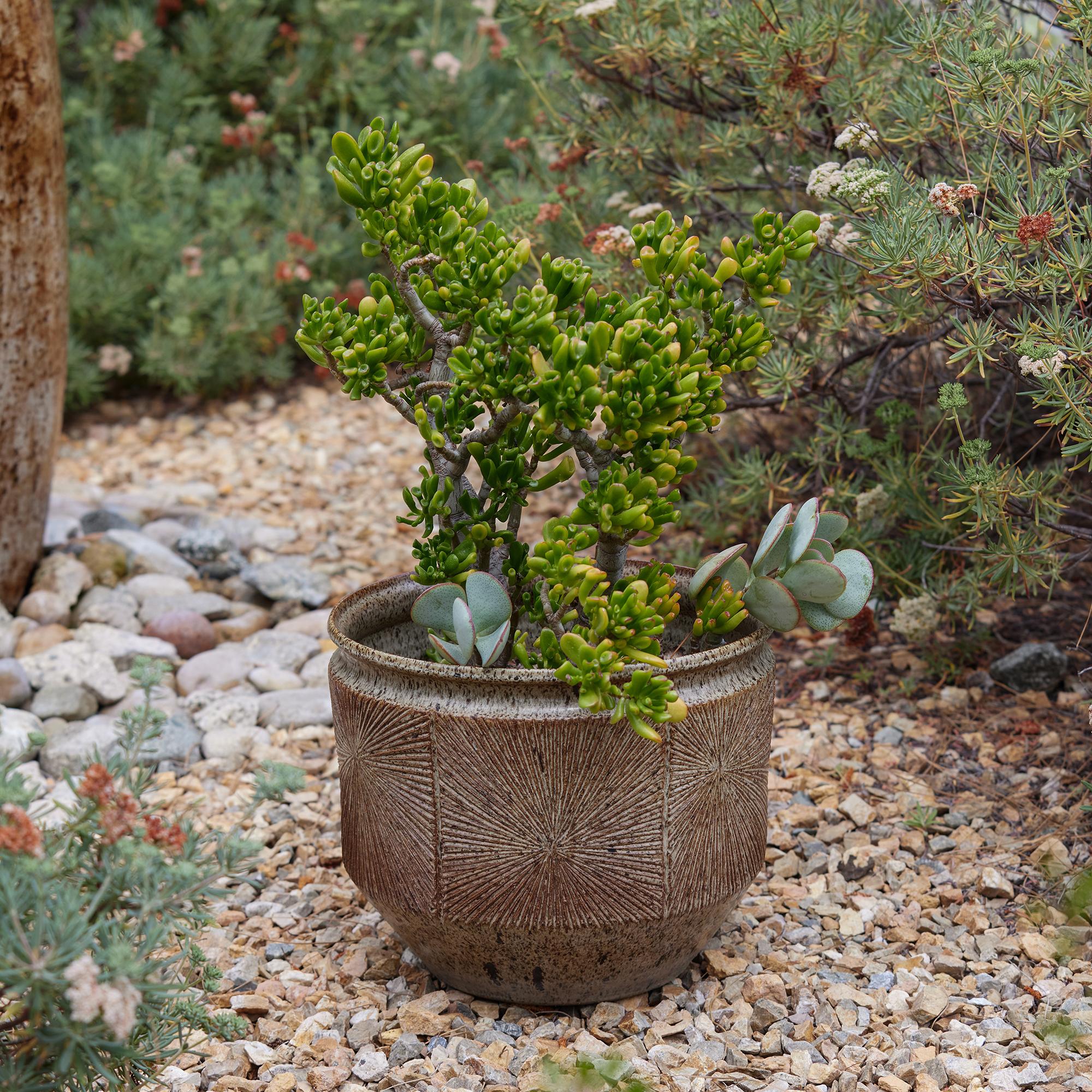 Grande jardinière Sunburst de Robert Maxwell & David Cressey pour Earthgender en vente 1