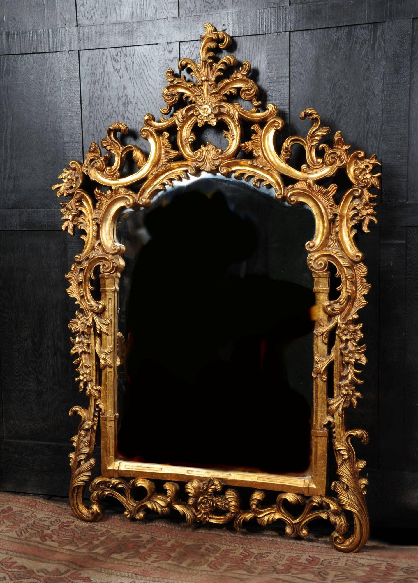 A beautiful, large carved giltwood mirror, exquisite detail with great antique look. Mirror plate is bevelled. We have a large Rococo console table also available that goes very well with this mirror.
