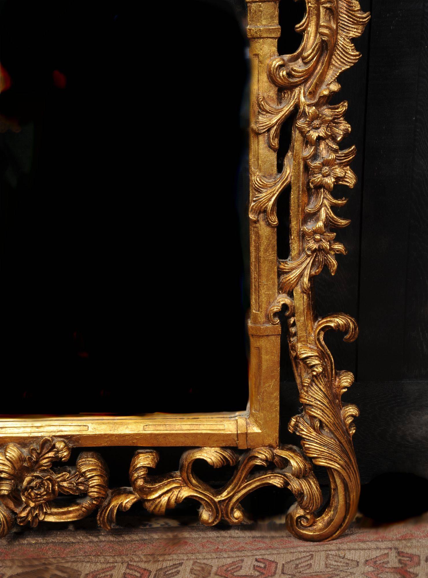 European Large Rococo Carved Giltwood Mirror