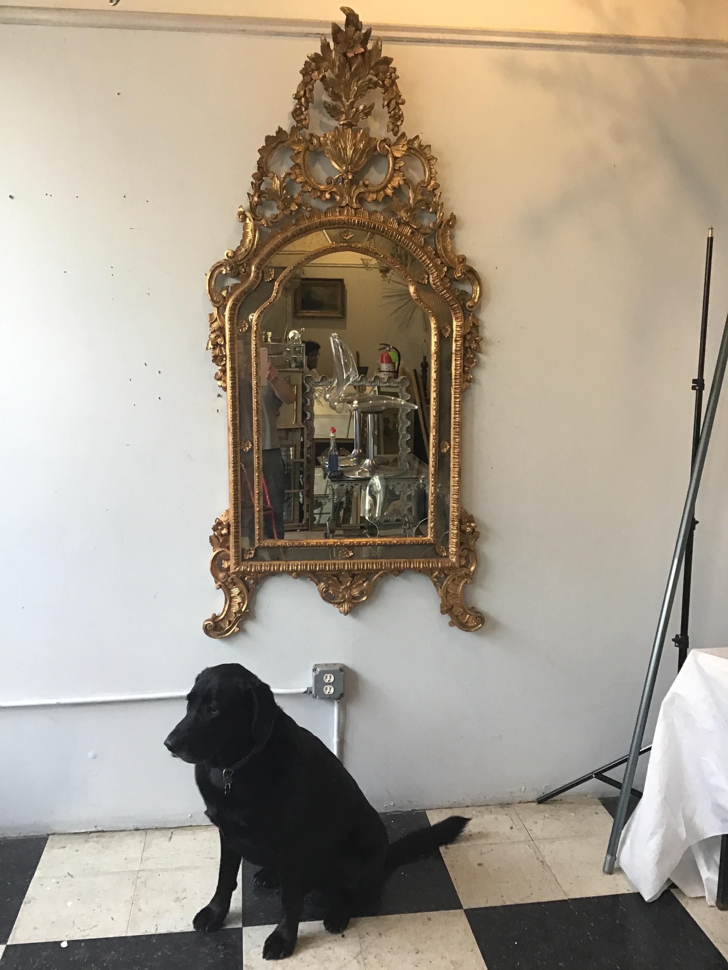 Large Rococo Style Italian Carved Wood Gilt Mirror In Good Condition For Sale In Tarrytown, NY