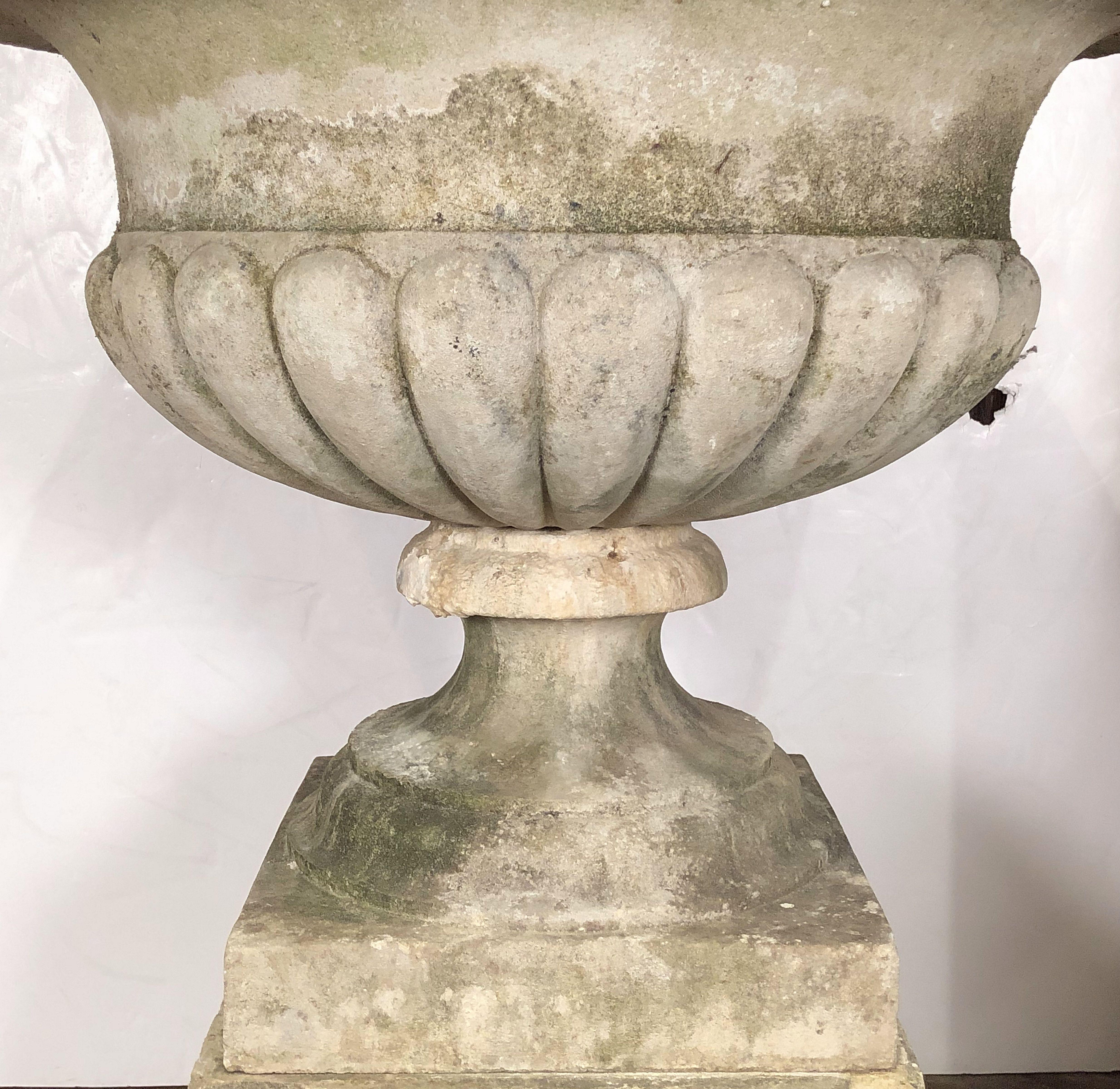 Large Round English Garden Stone Planter or Urn on Square Plinth 4