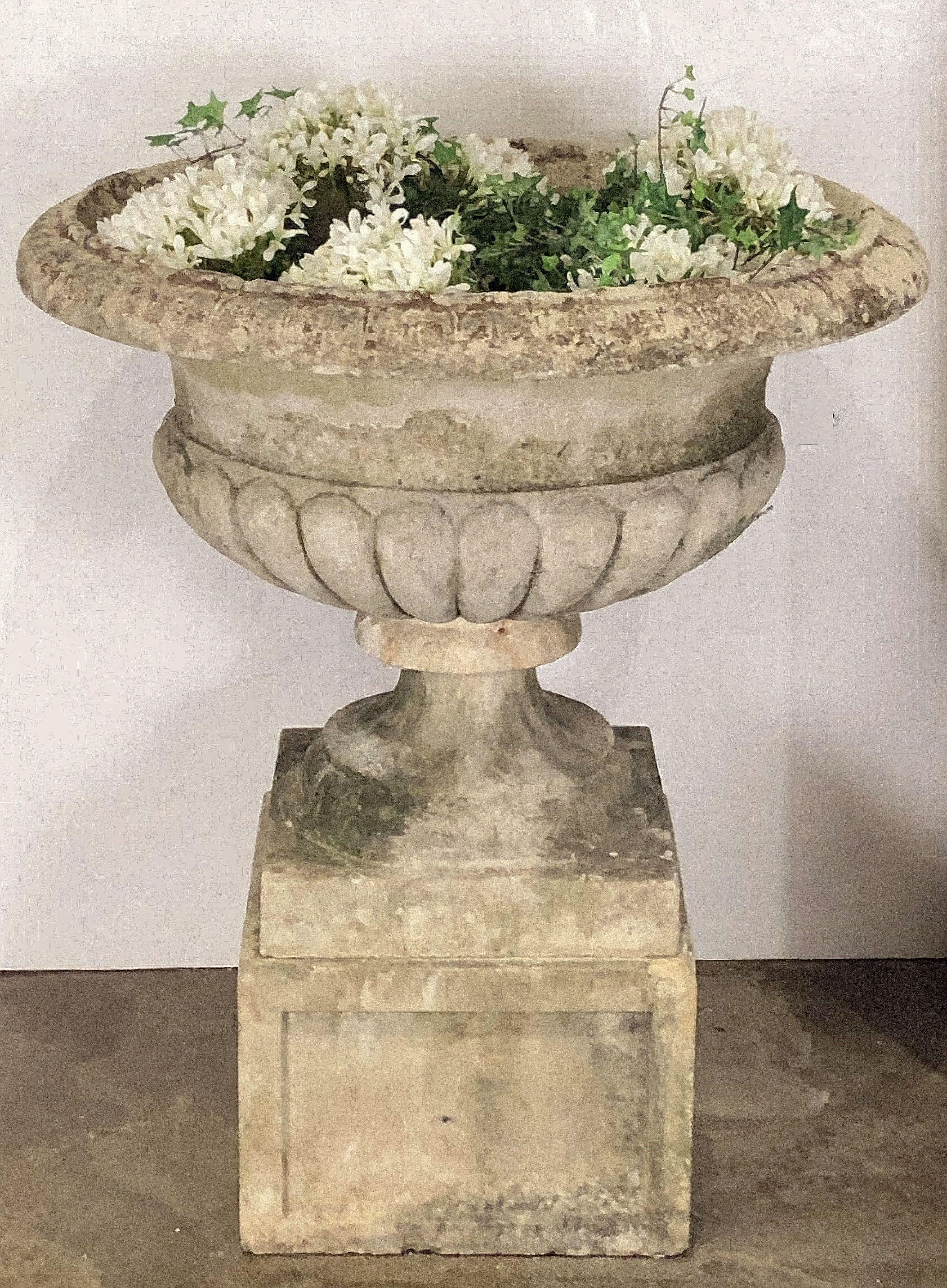 A large English garden urn or planter in the Classical style, of composition stone, featuring a patterned rim over a cylindrical, semi-lobed body on square base. Set upon a raised square pedestal plinth and a lovely patina from age and