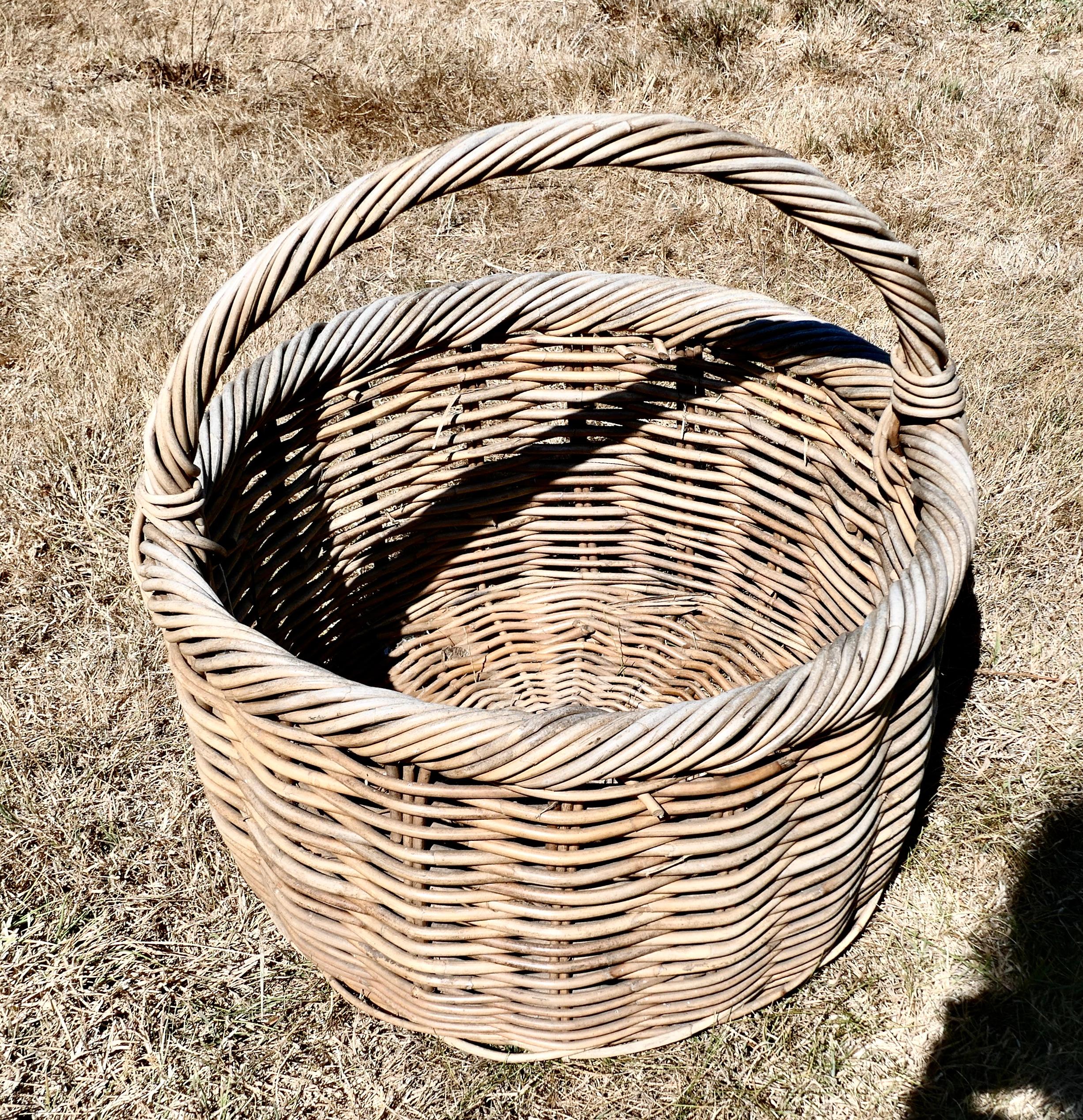 Large round French antique wicker bread basket.


This is a good strong basket with a carrying handle, it is in good used condition for its age, the basket comes from France and was originally used in a bakery to transport the Bread around the