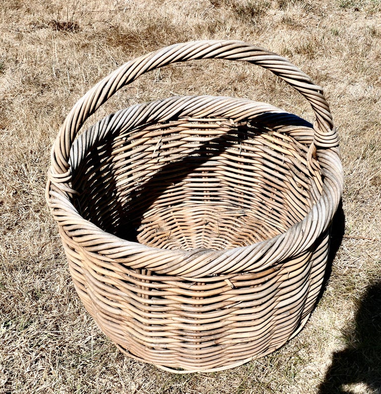 Large Round French Antique Wicker Bread Basket For Sale at 1stDibs