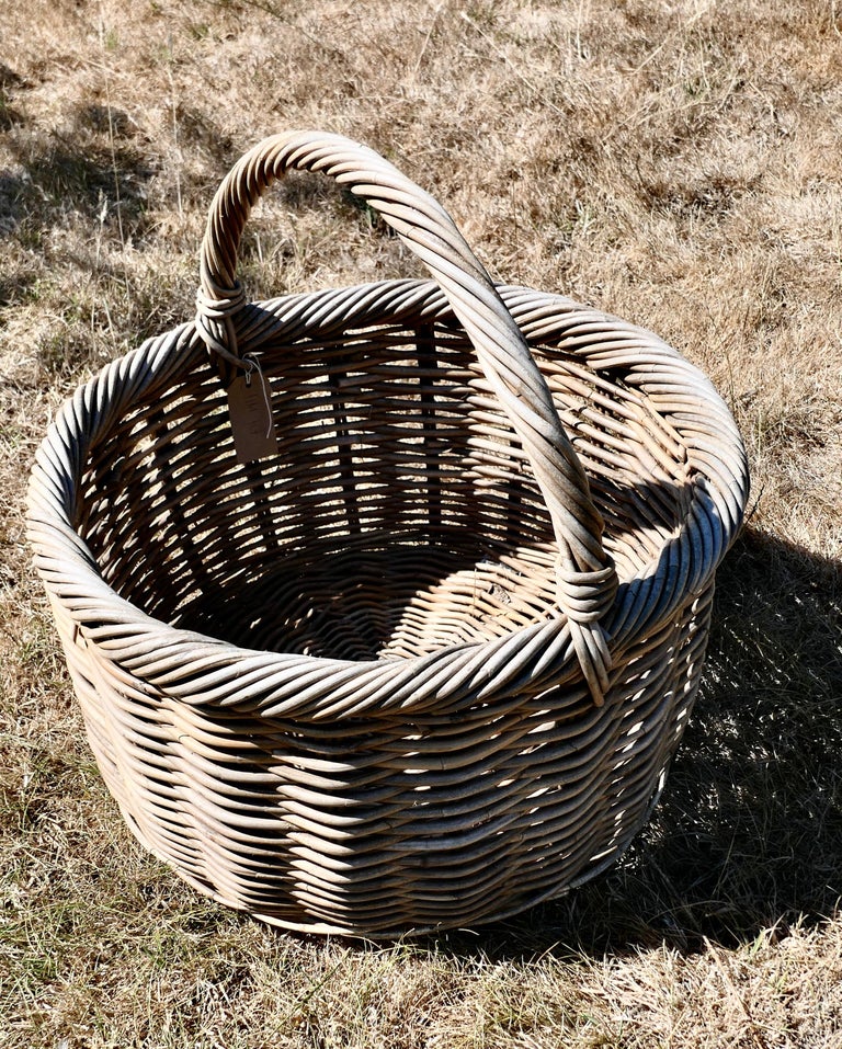 Large Round French Antique Wicker Bread Basket For Sale at 1stDibs
