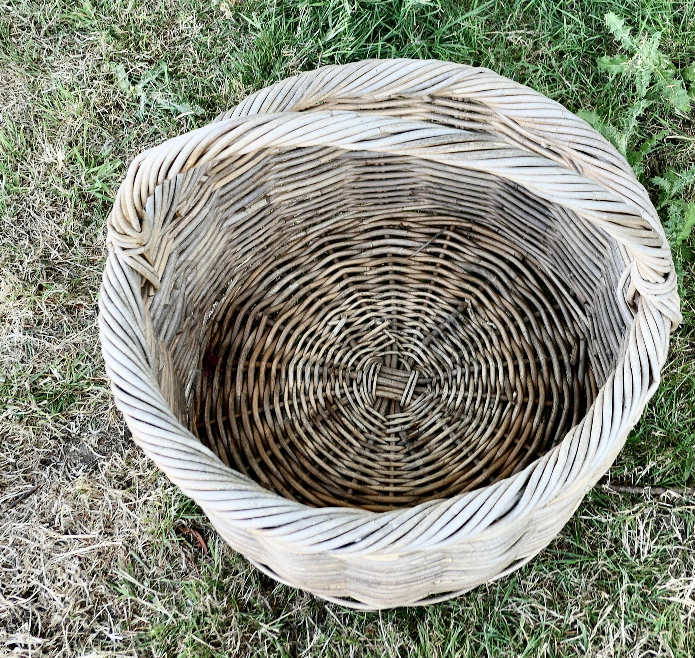 Country Large Round French Antique Wicker Bread Basket For Sale