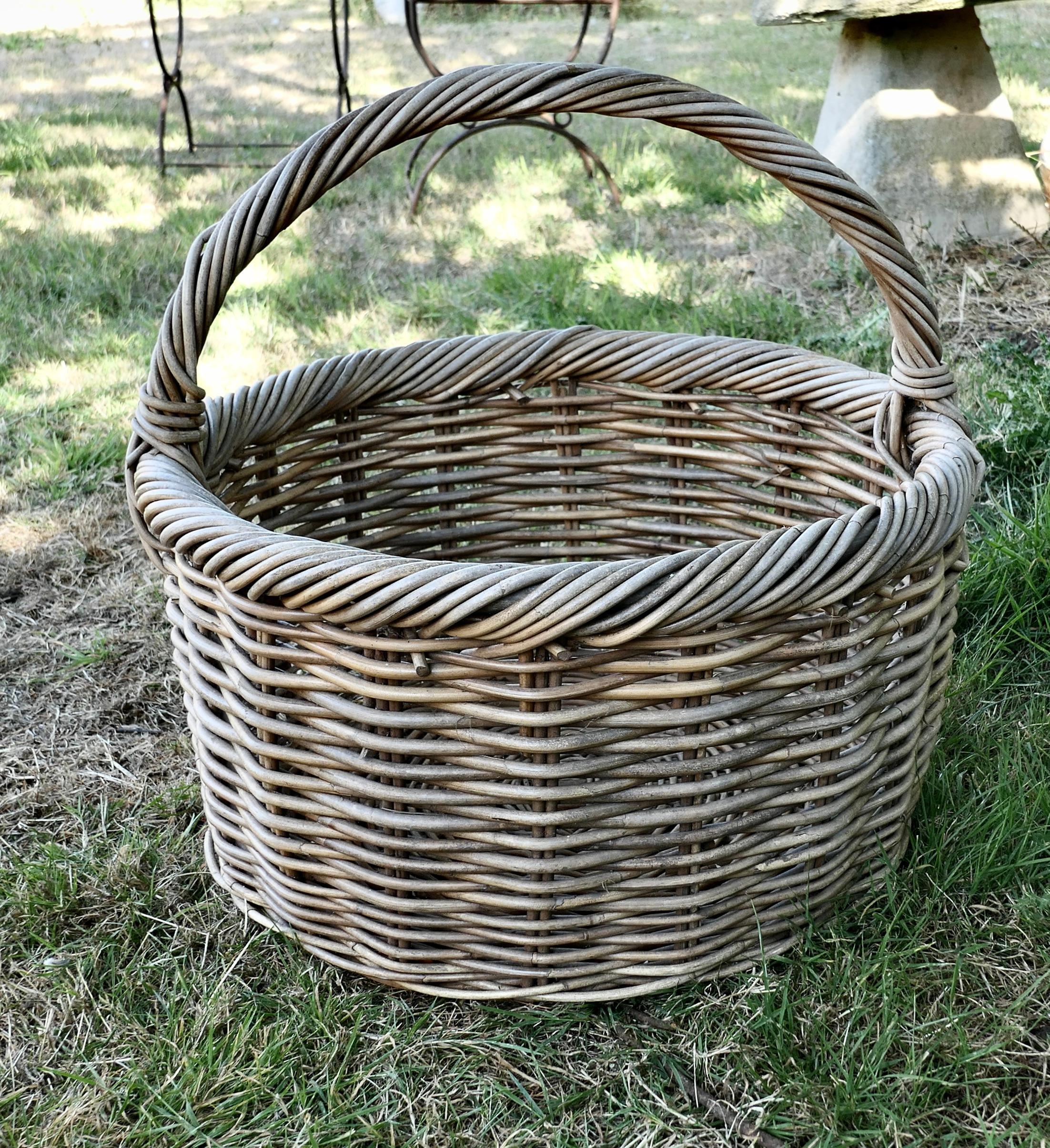 19th Century Large Round French Antique Wicker Bread Basket For Sale